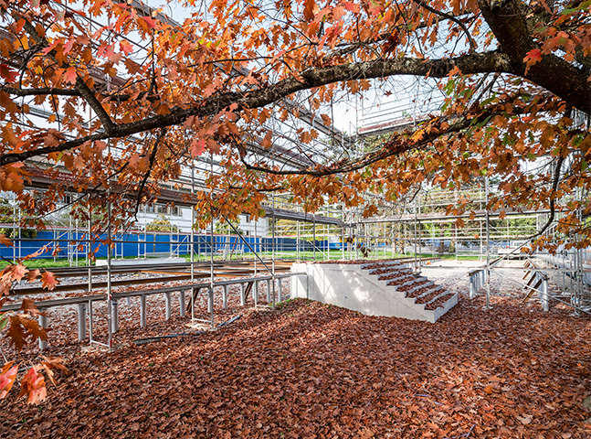 École de Trembley: les fondations en vis Kriner permettent de construire au plus près des arbres existants.