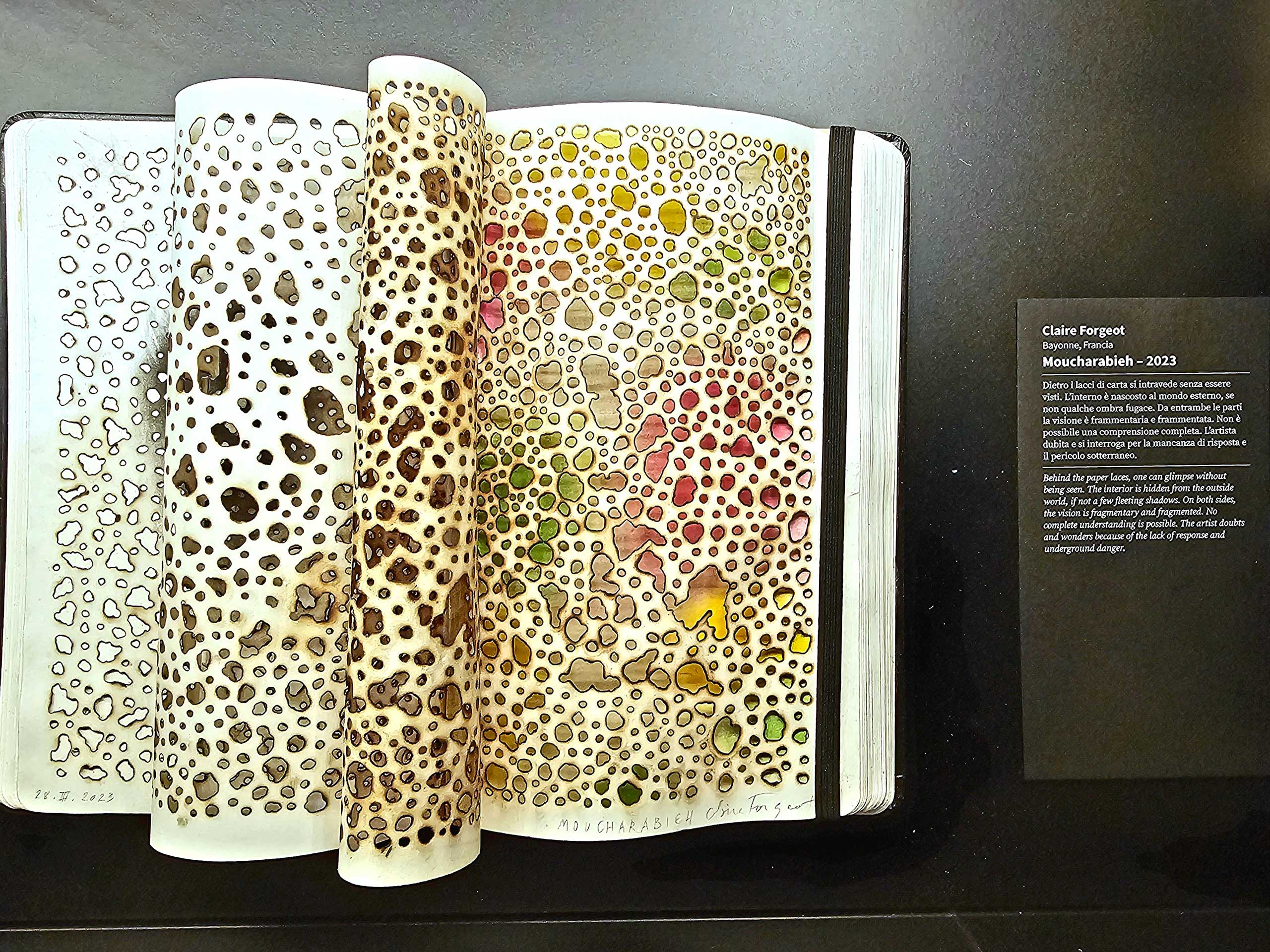 Il taccuino dell’artista francese Claire Forgeot, 2023.