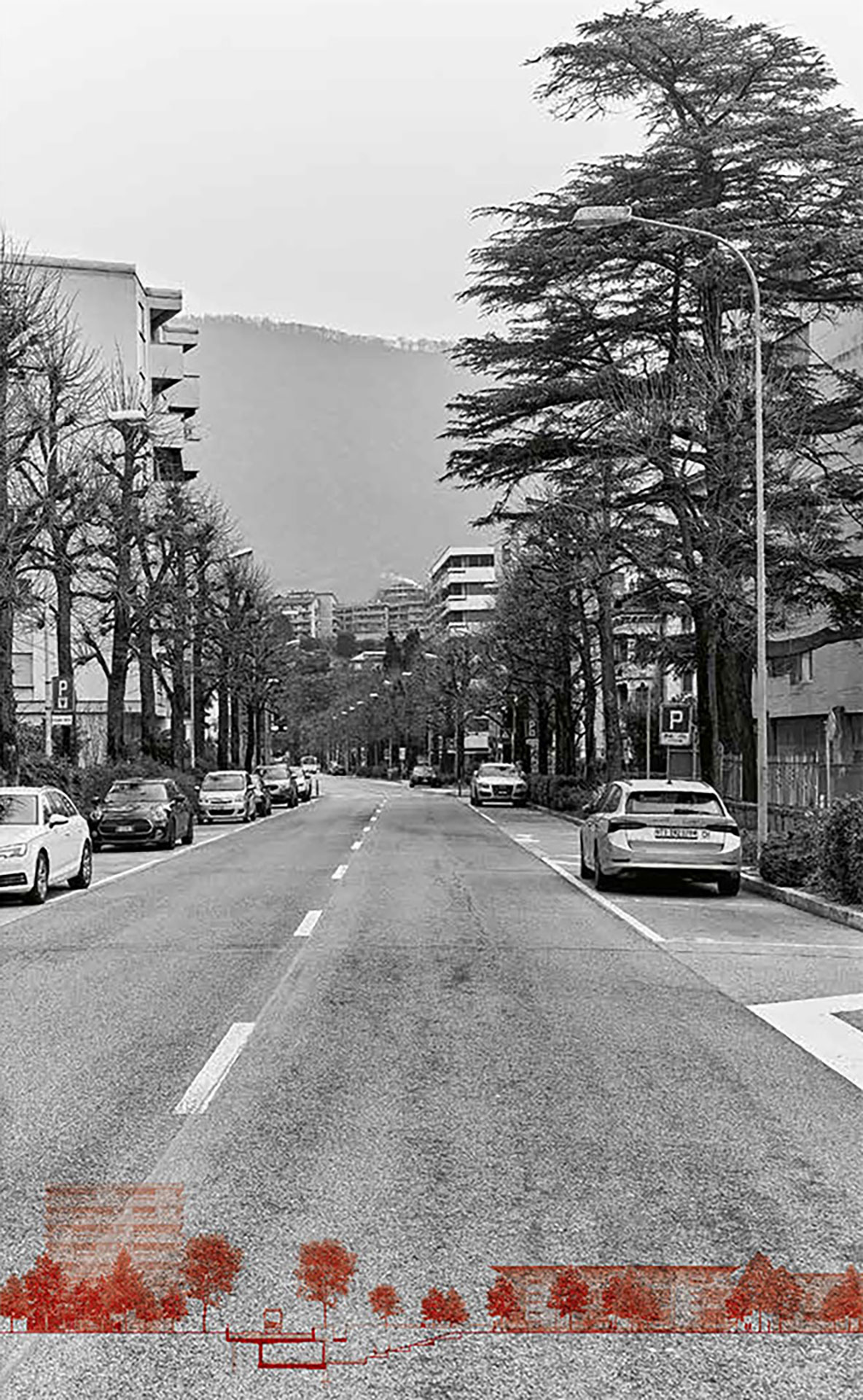 msp-strumenti-sperimentazione-progetto-4