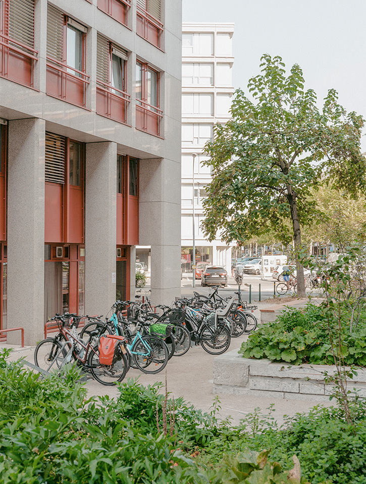 Les nouvelles plantations permettent de lutter contre le phénomène d’îlot de chaleur.