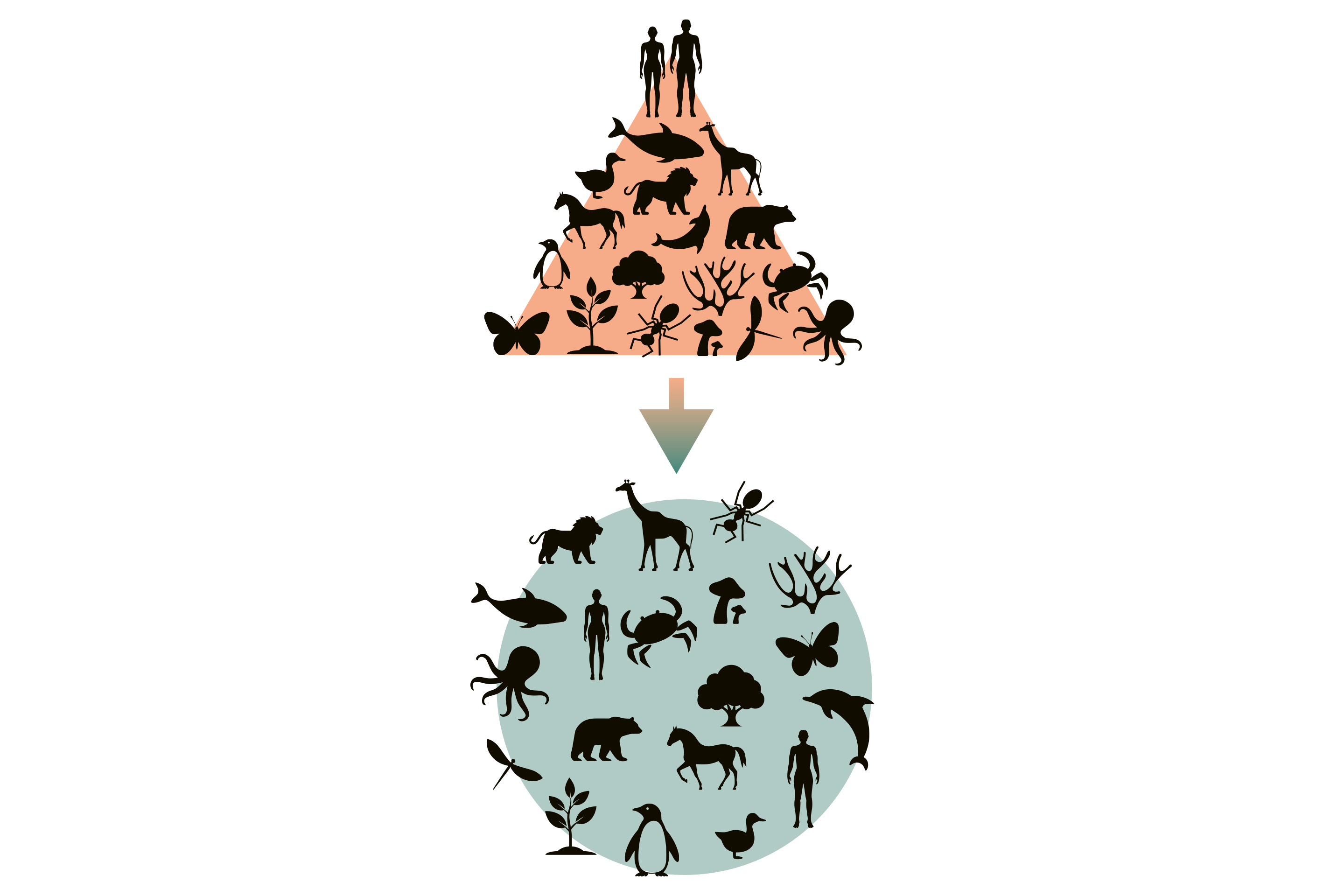 Verhältnis zwischen Mensch und Natur, heute und zukünftig?