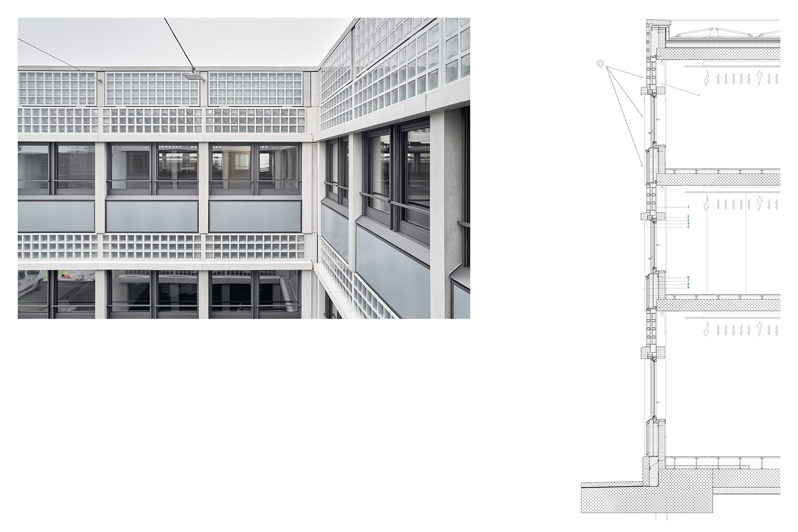 Uffici e Data Center Wasserwerke Zugo, sezione trasversale di dettaglio
