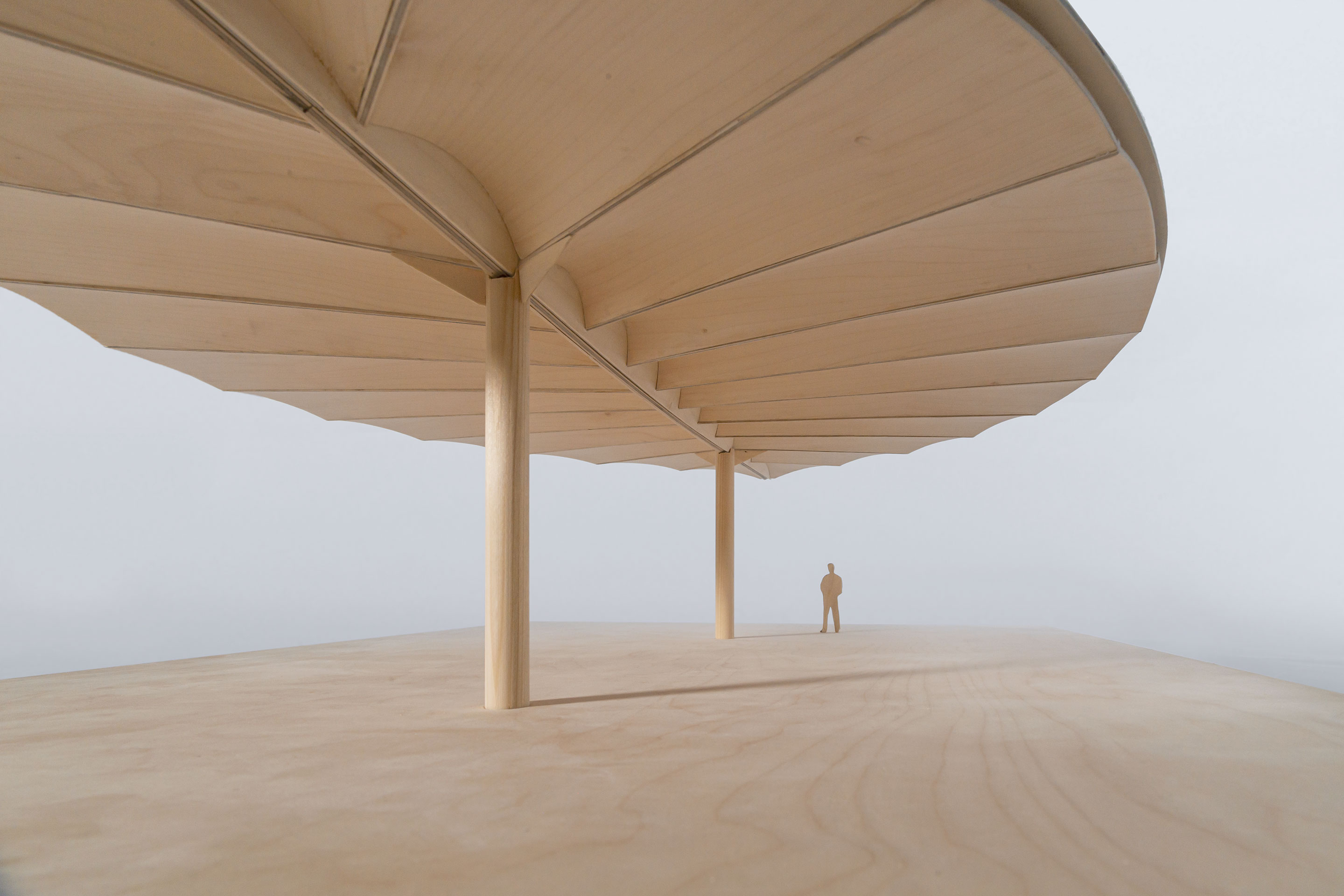 Blattförmige Überdachung, hergestellt aus verschiedenen Segmenten, die auf demselben Lehrgerüst produziert werden.