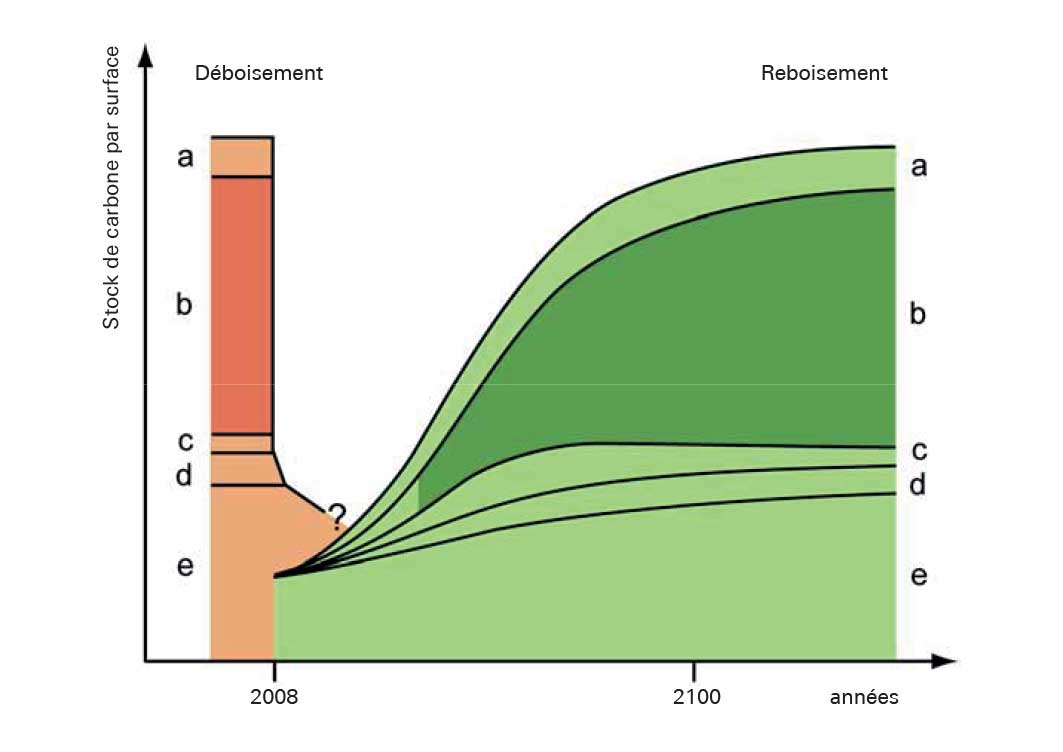 Représentation schématique de la modification des stocks de carbone lors du déboisement et reboisement d’une surface de remplacement équivalente. Stocks de carbone:  a) dans les branches b) dans le bois fort d’un diamètre sup. à 7 cm c) dans les arbustes d) dans les racines e) dans le sol.