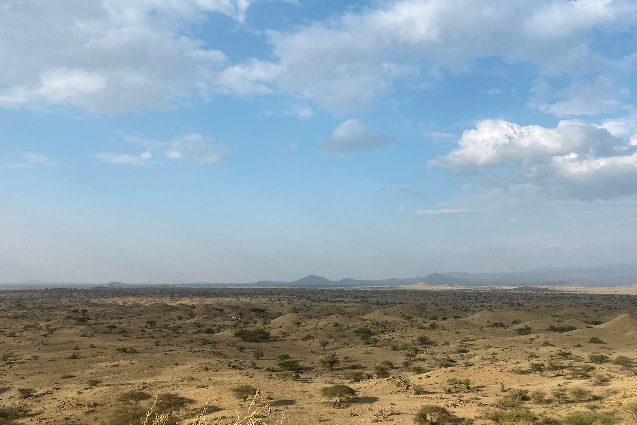 Nur wenige Meter vom Schulhaus entfernt erstreckt sich die Savanne vom Mount Meru bis zum Kilimanjaro und über die kenianische Grenze hinaus.