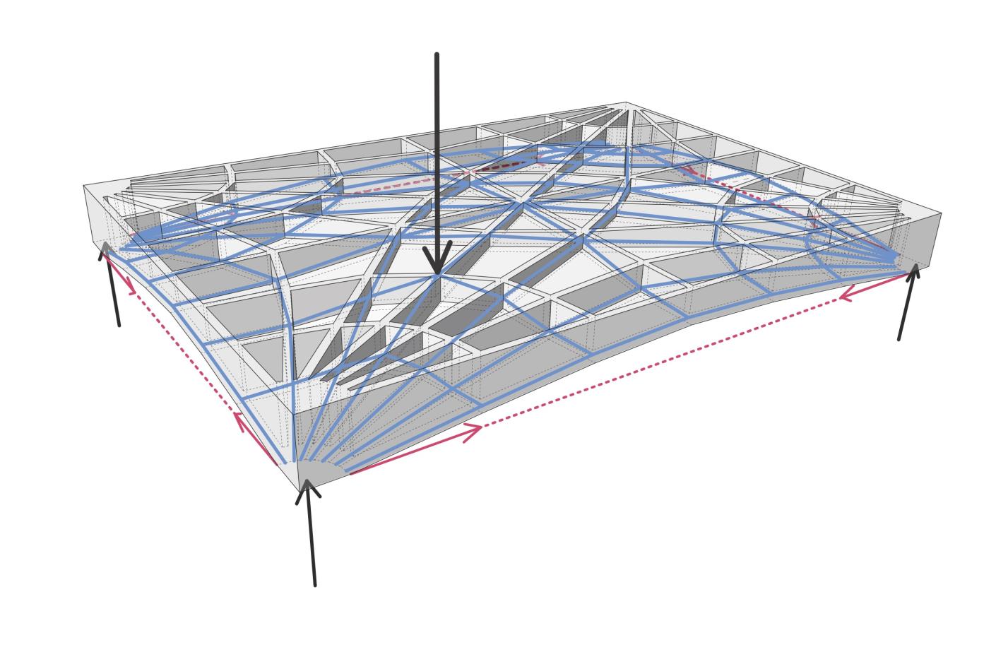 Diagramma forze lastre RFS