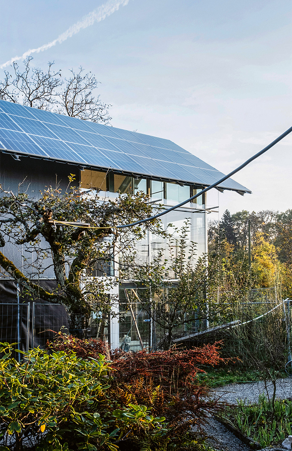 Filter House Genf Comte Meuwly: Statt die Pflanzen zu beseitigen, wurde das Haus zwischen sie gesetzt. Es nutzt deren Qualitäten als Teil der Fassade.
