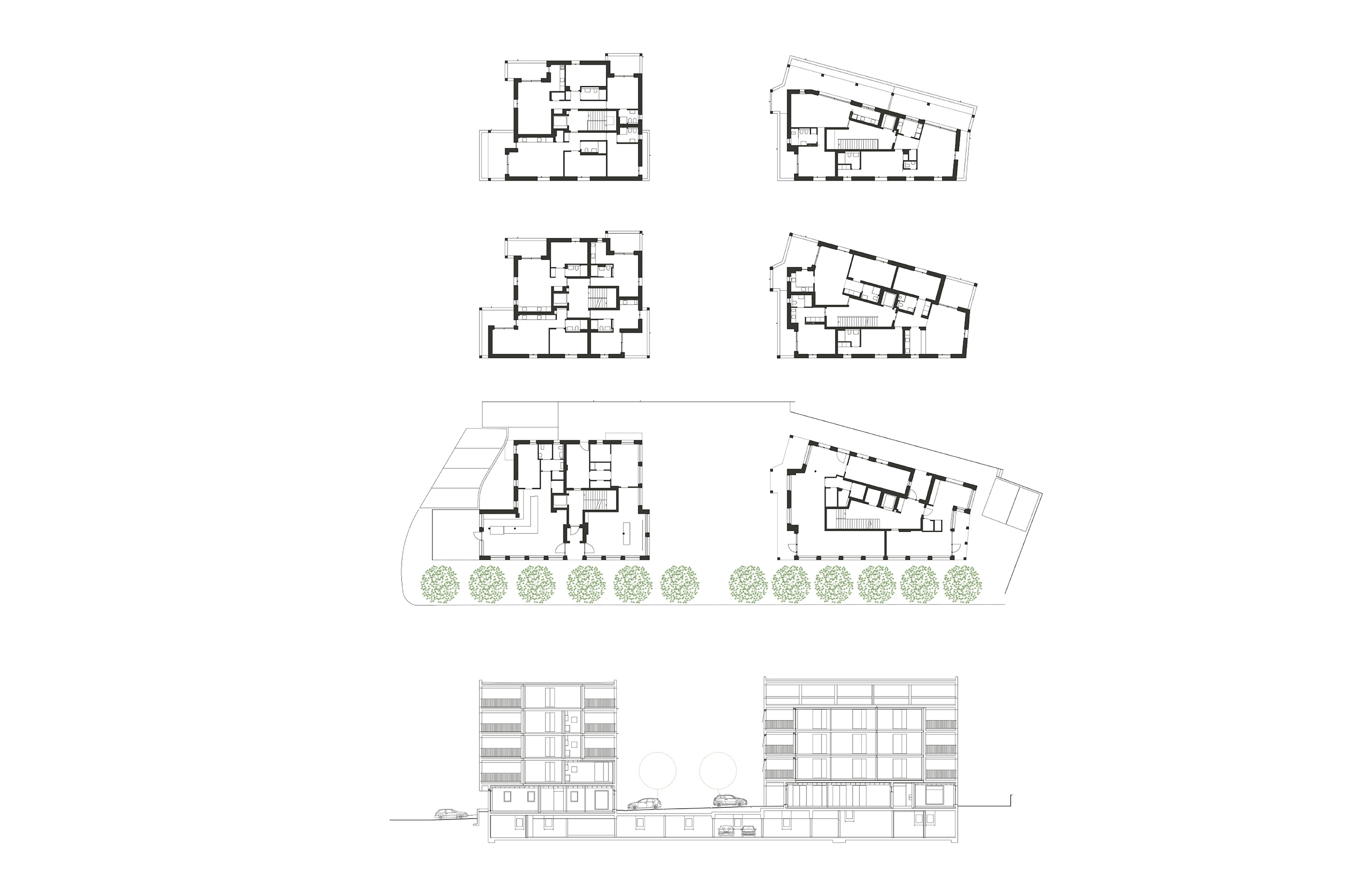 Piante pubblicazione muri neri