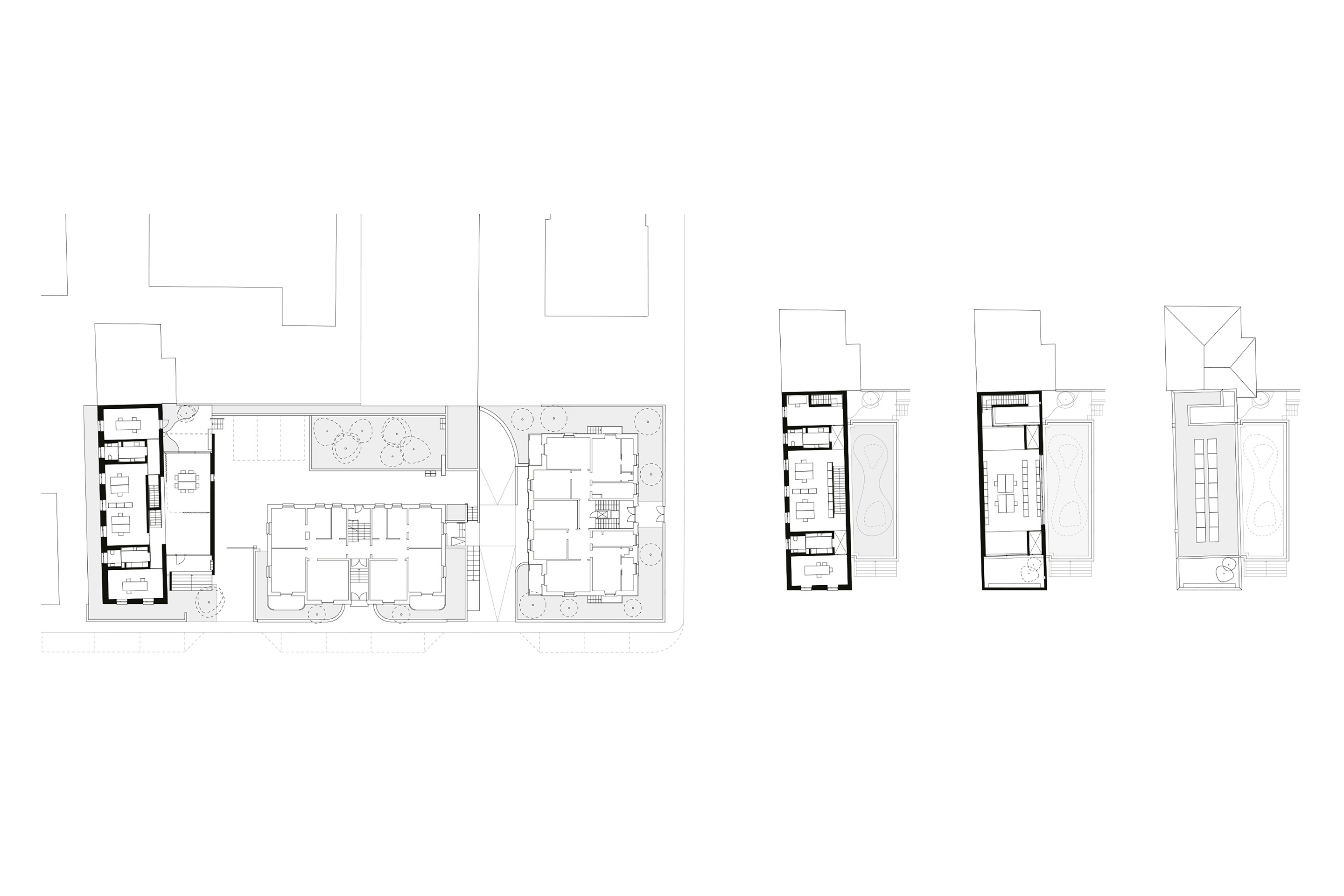 Piante via Volta, Lugano