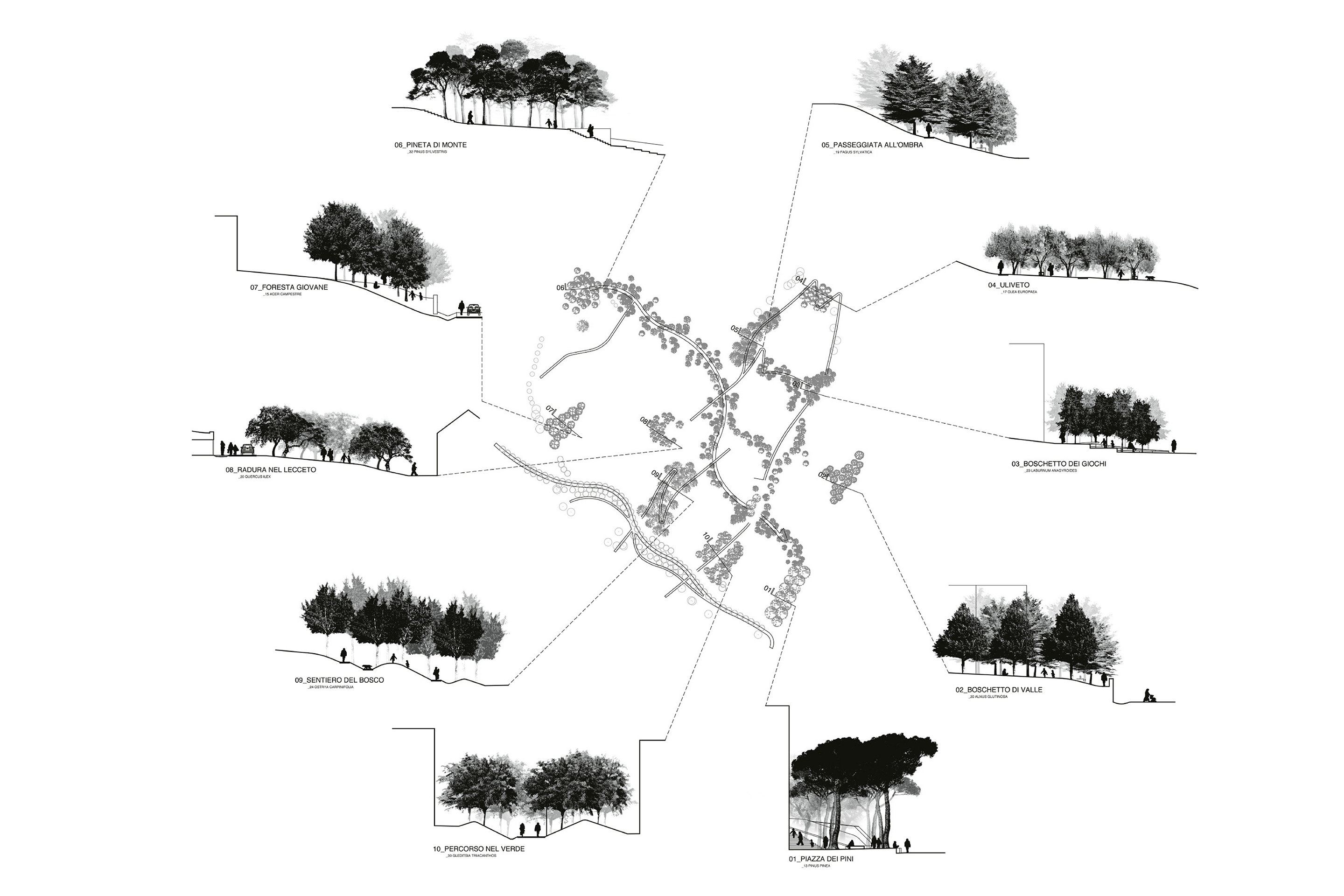 Planimetria e sezione percorsi
