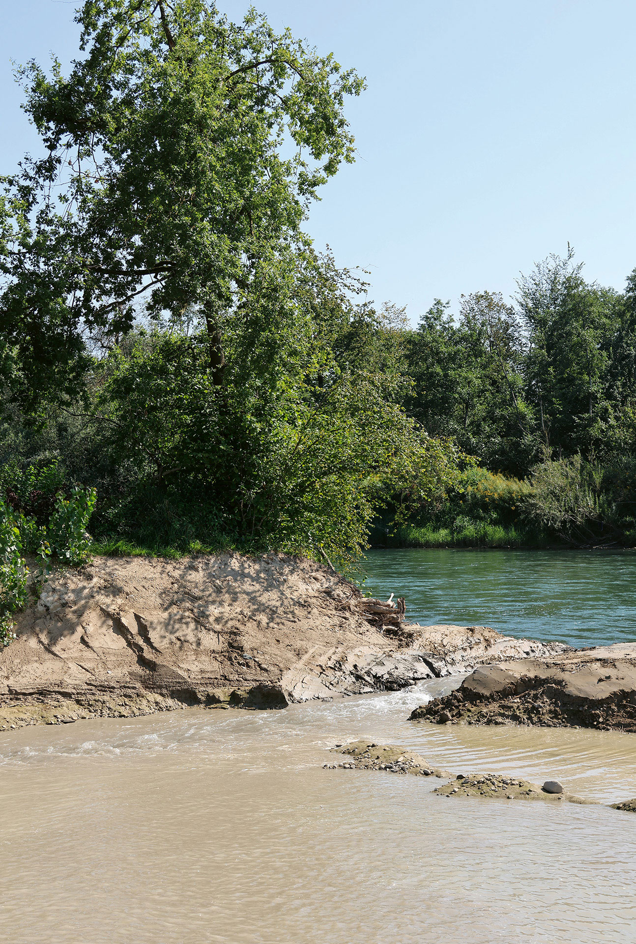 Der Durchstich von der Reuss zum Auengebiet.