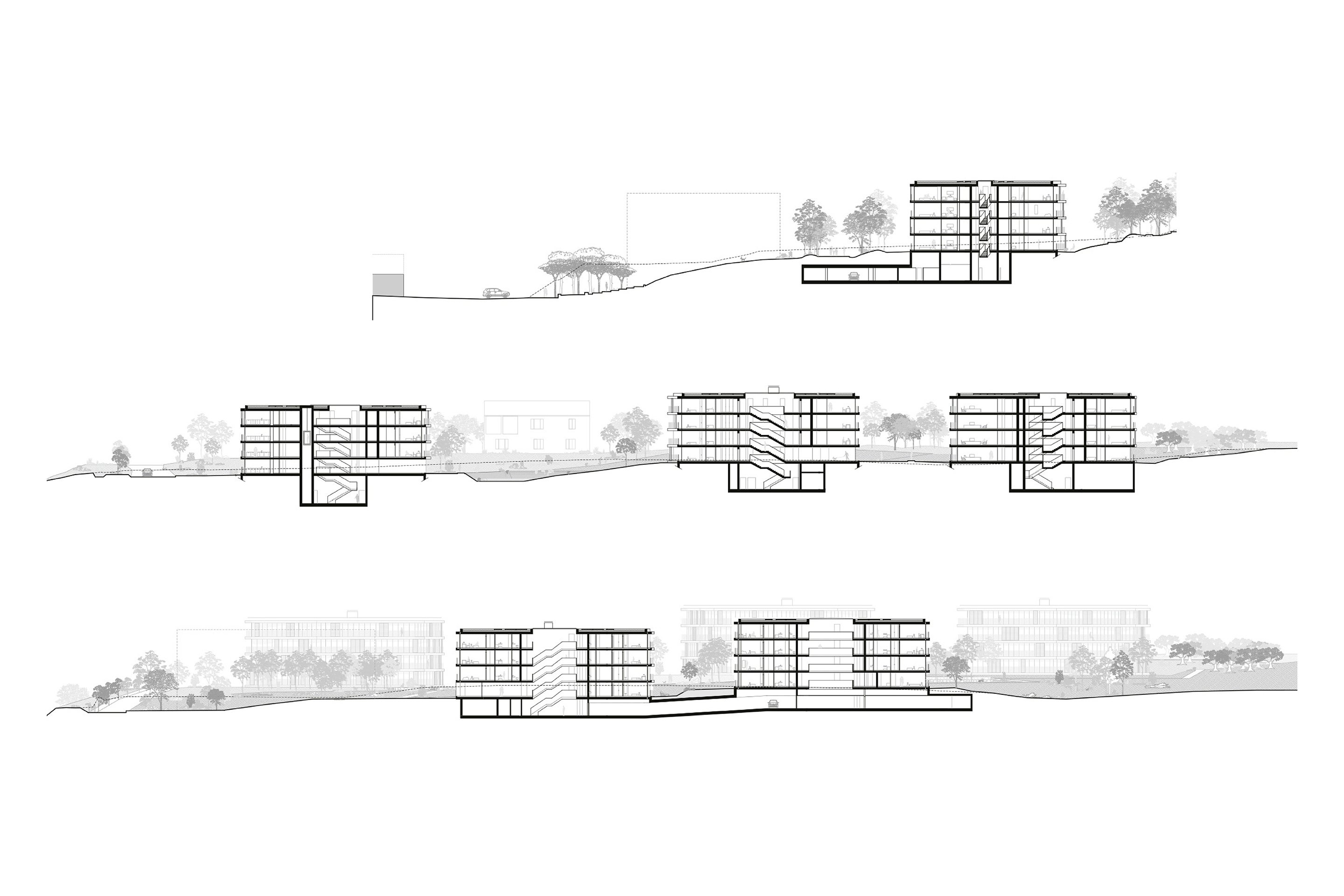 Sezioni traversale e longitudinali