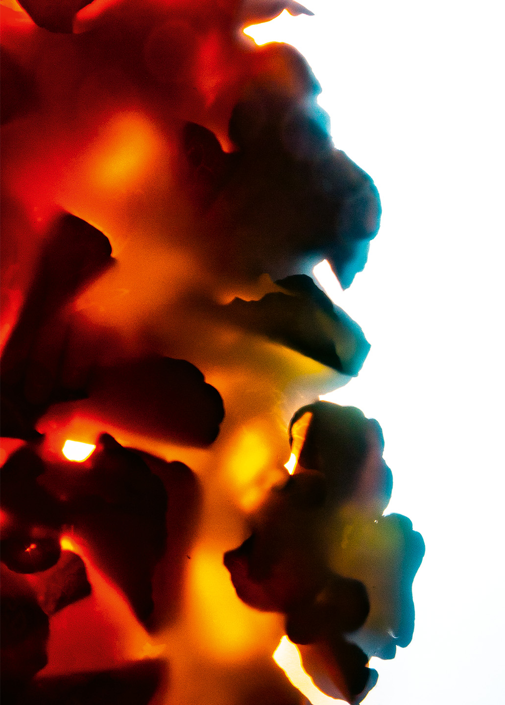 Sun Dähler Dietschweiler