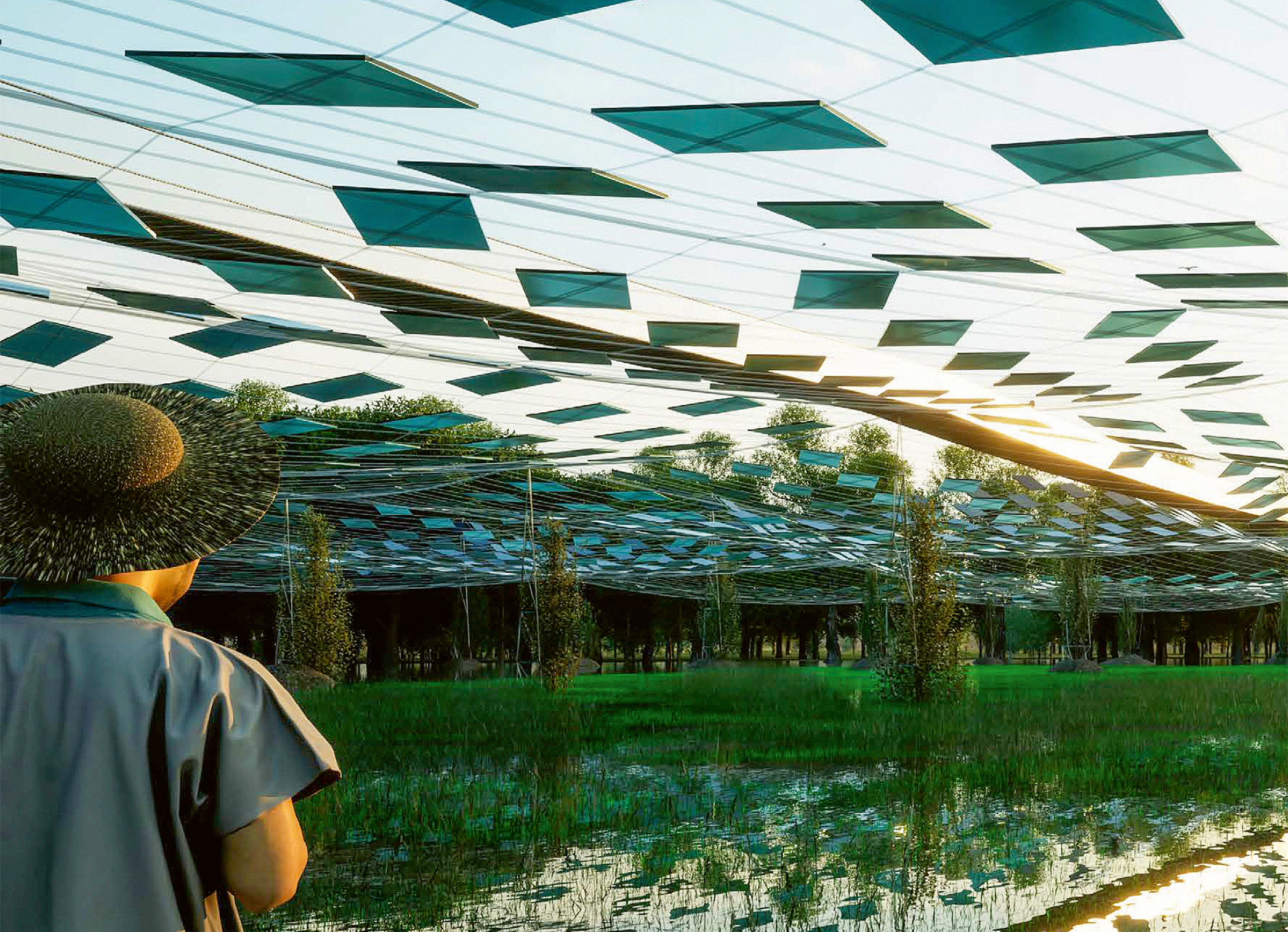 «A-Grid», projet lauréat du concours «Agrivoltaics for Noah’s Ark», Studio Alami