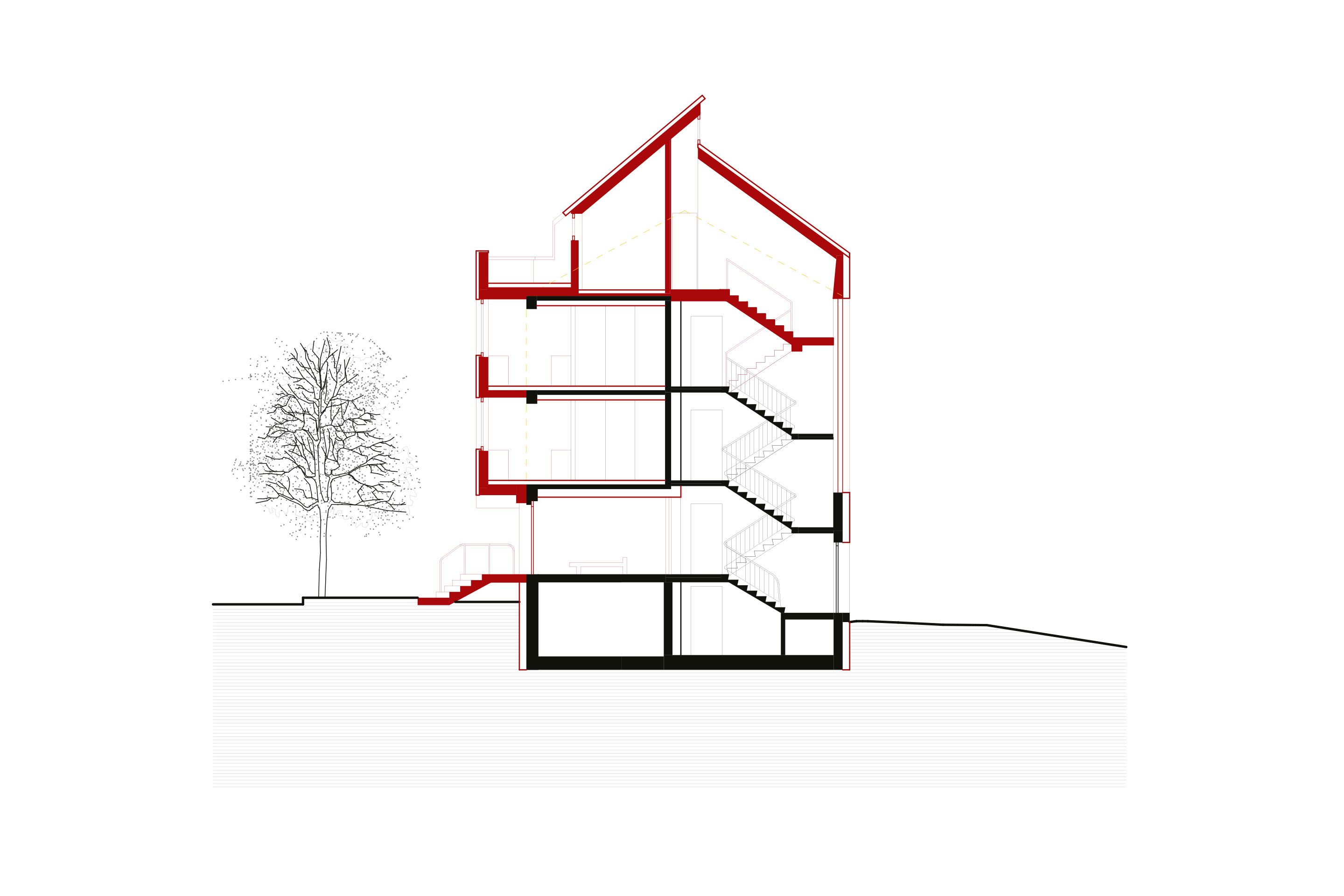 Les volumes supplémentaires ont permis de remodeler le volume de la maison. Coupe