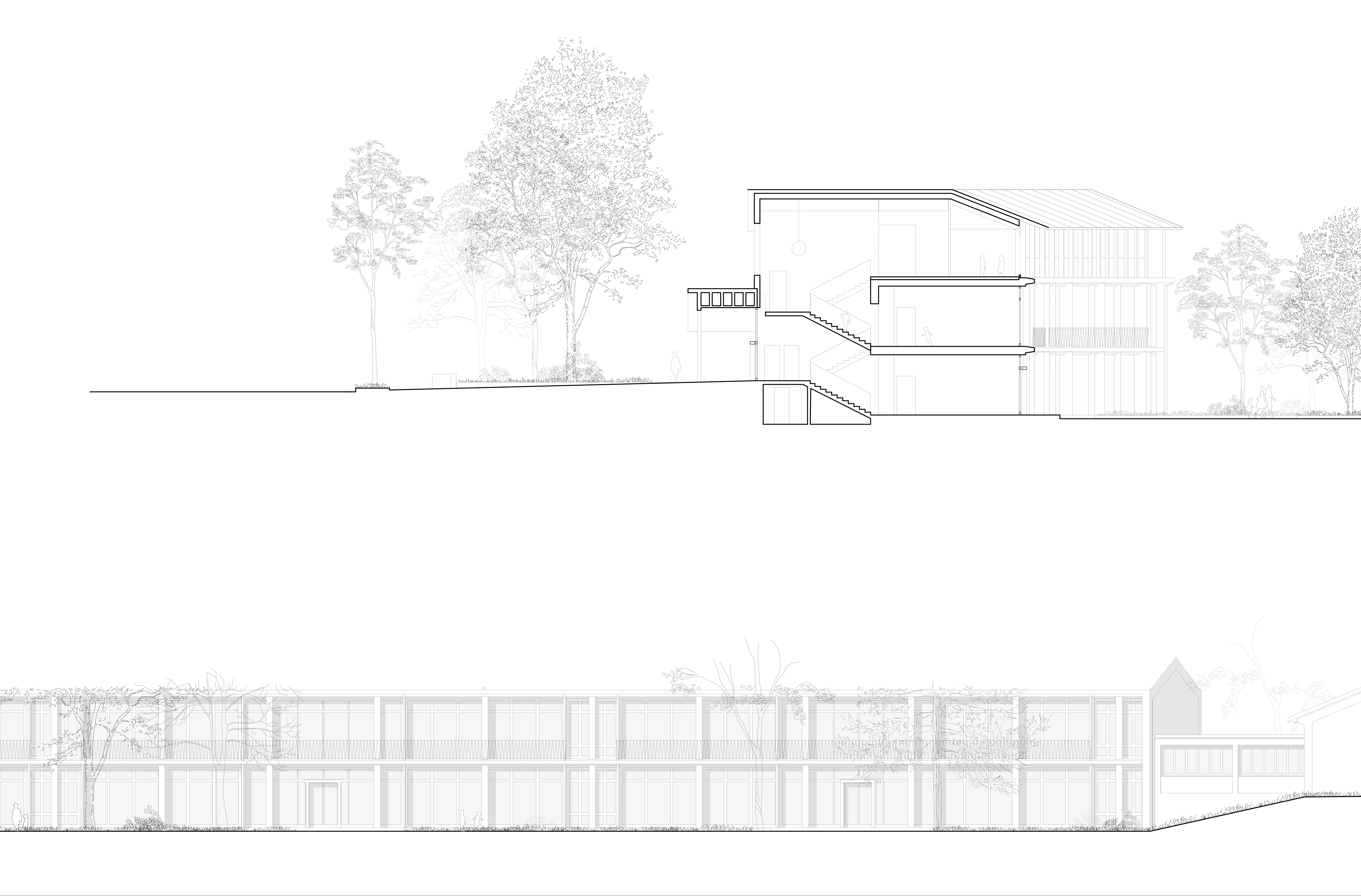 5-concours sallaz-coupe-deschenaux madeline 2501.jpg