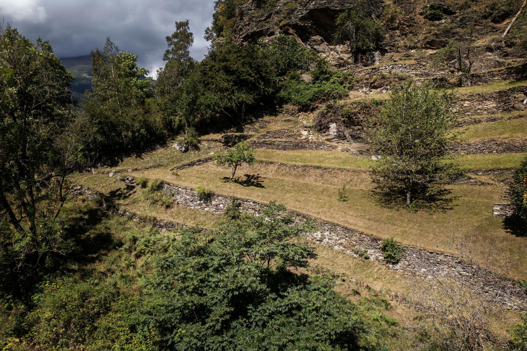 Per preservare il tradizionale paesaggio a terrazze, la «Runchett da Sotsassa» è stata restaurata e valorizzata.