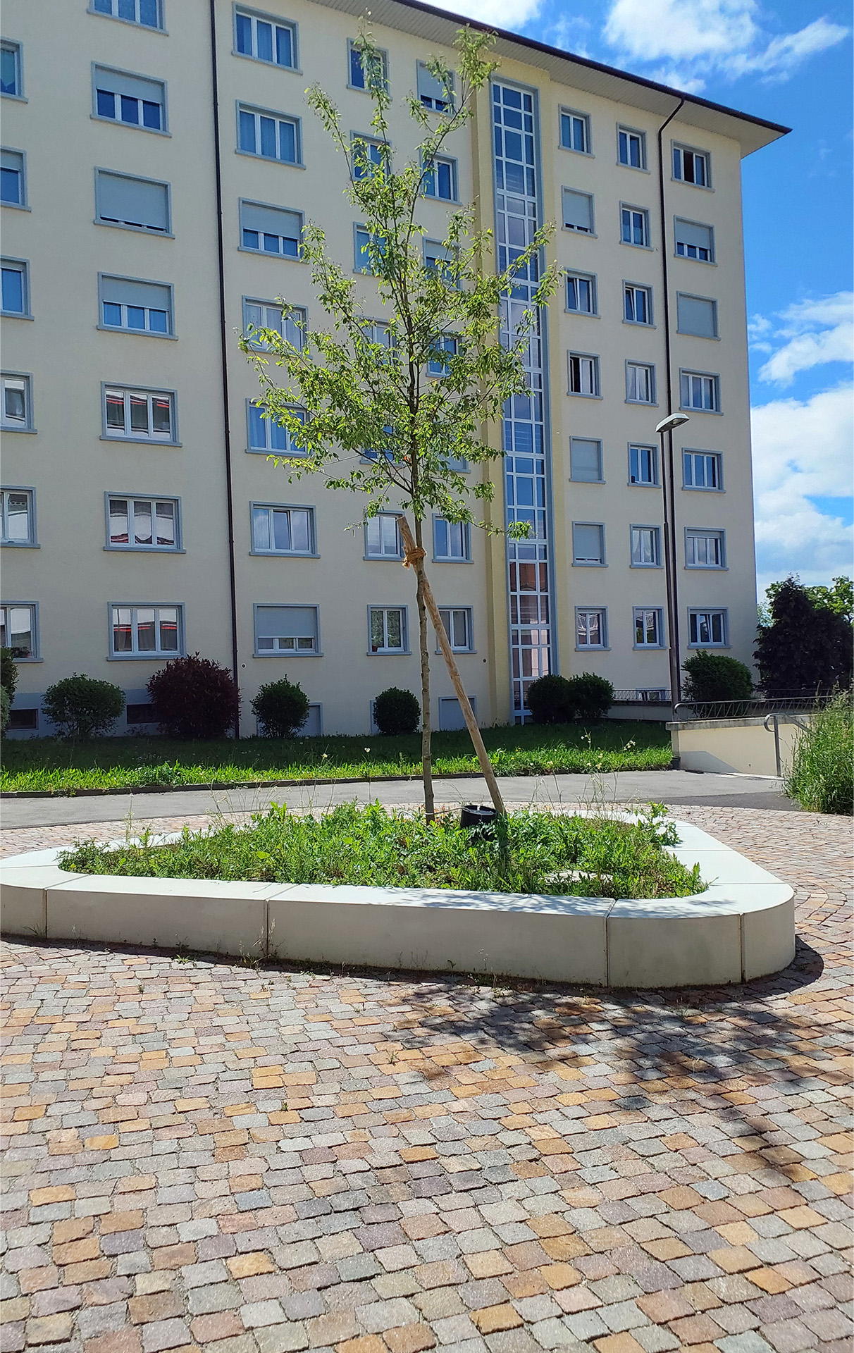 BOISY-tb&amp;dp-pavés réemployés-18.jpg