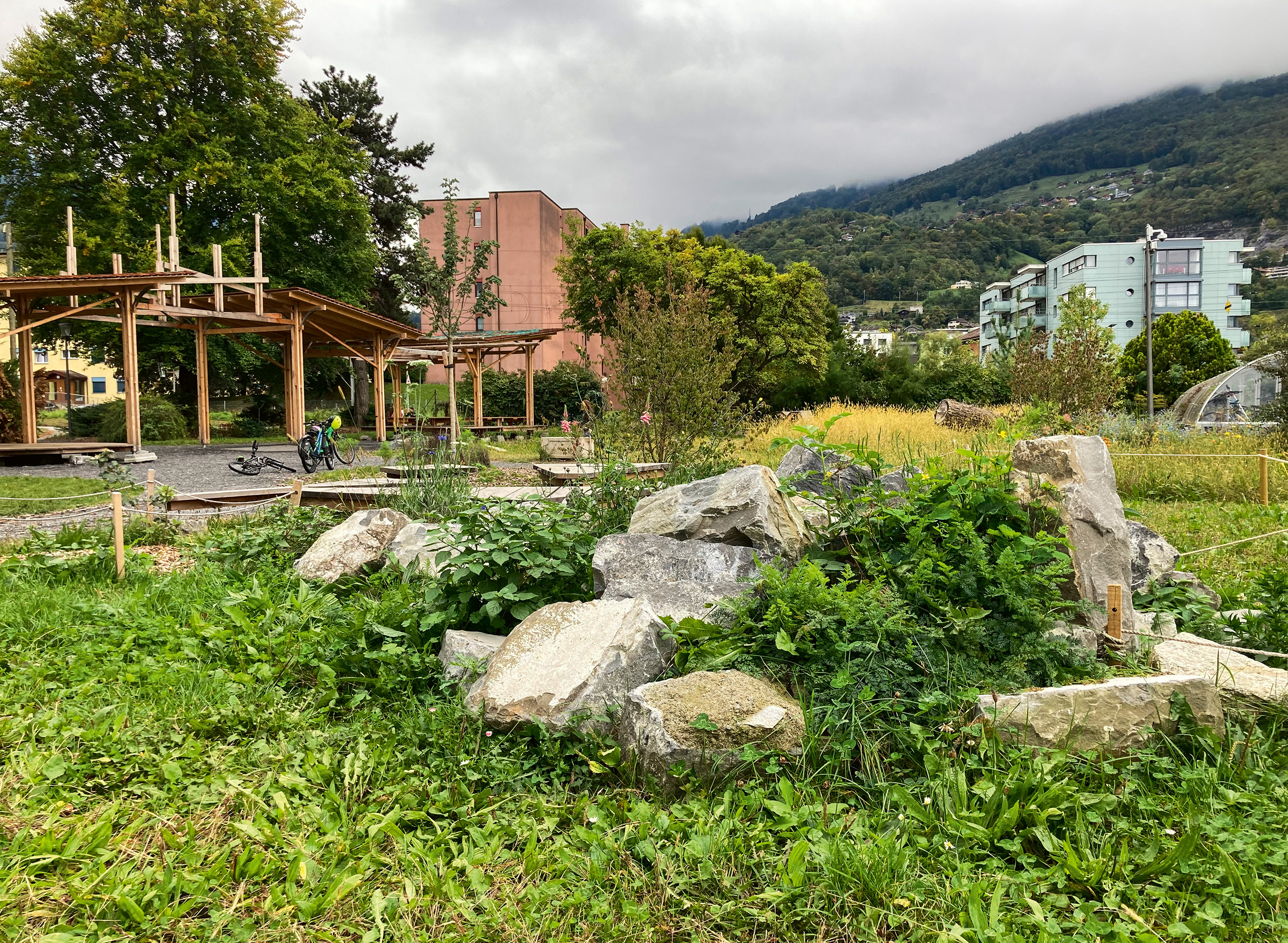 Dégrappé, le sol accueille désormais des poches de biodiversité.