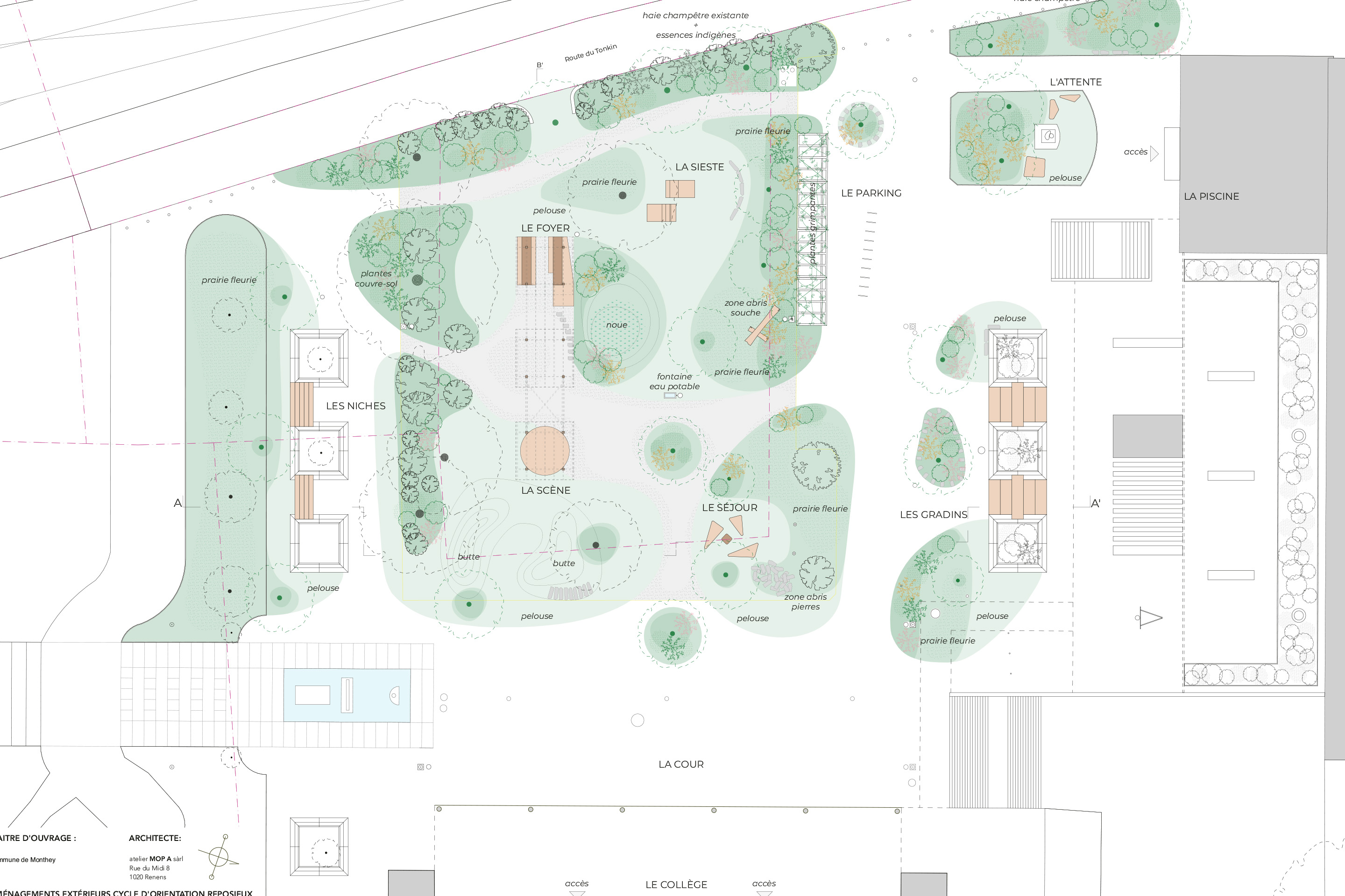 Plan des interventions sur le site
