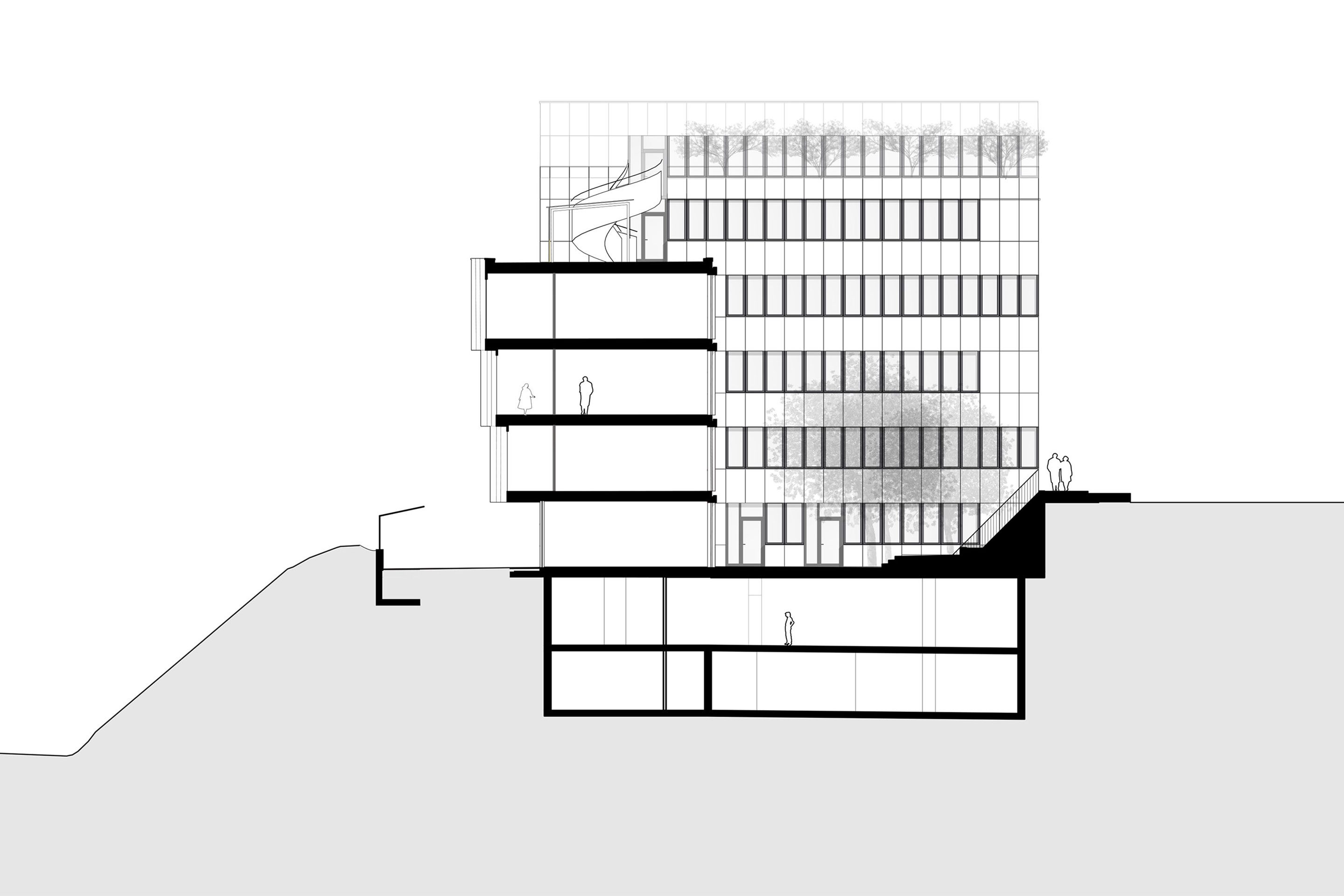 umbau-buero-schule-bern-querschnitt.
