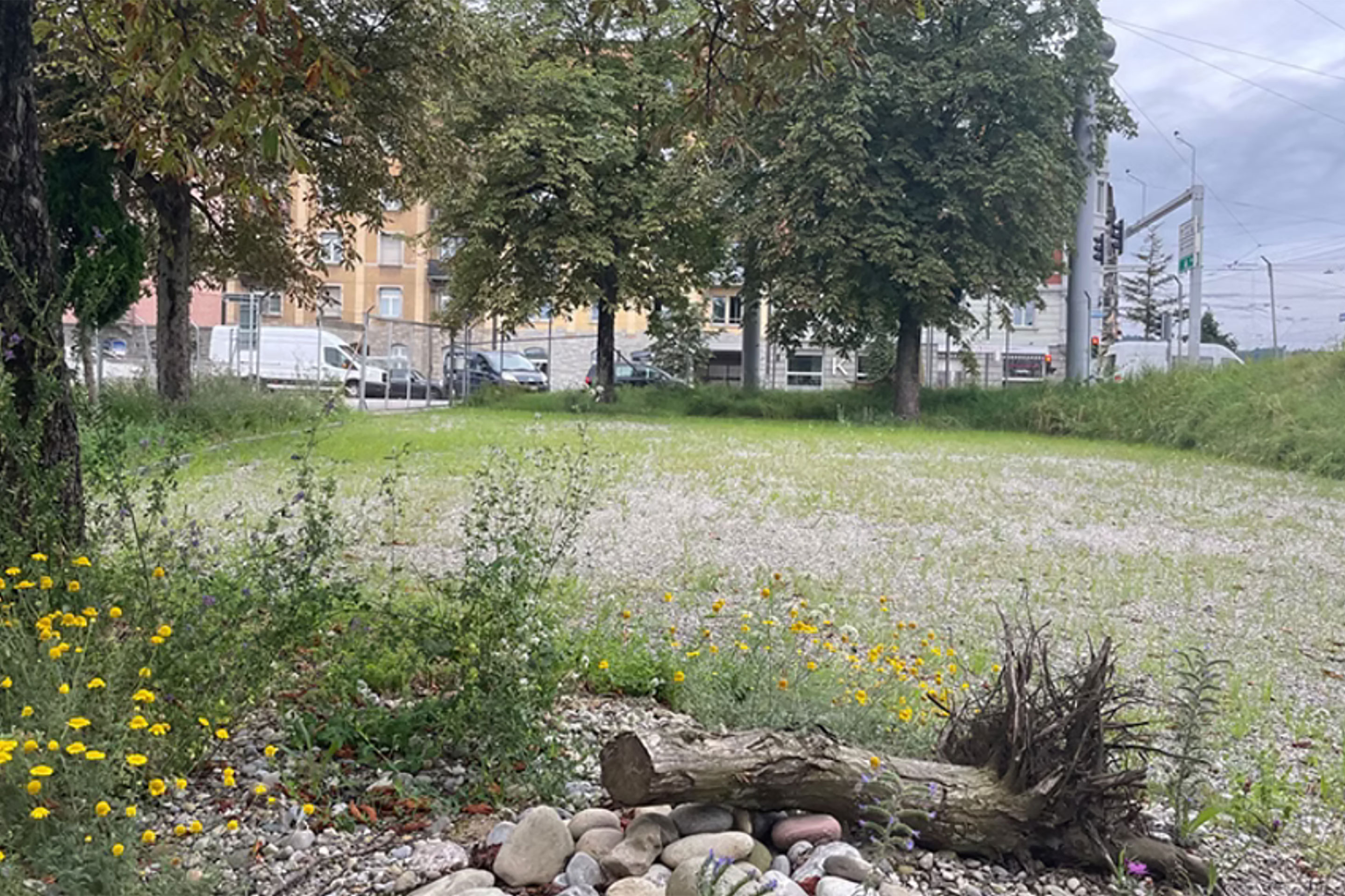 Ein halbes Jahr später grünt es bereits auf dem Kiesbelag.