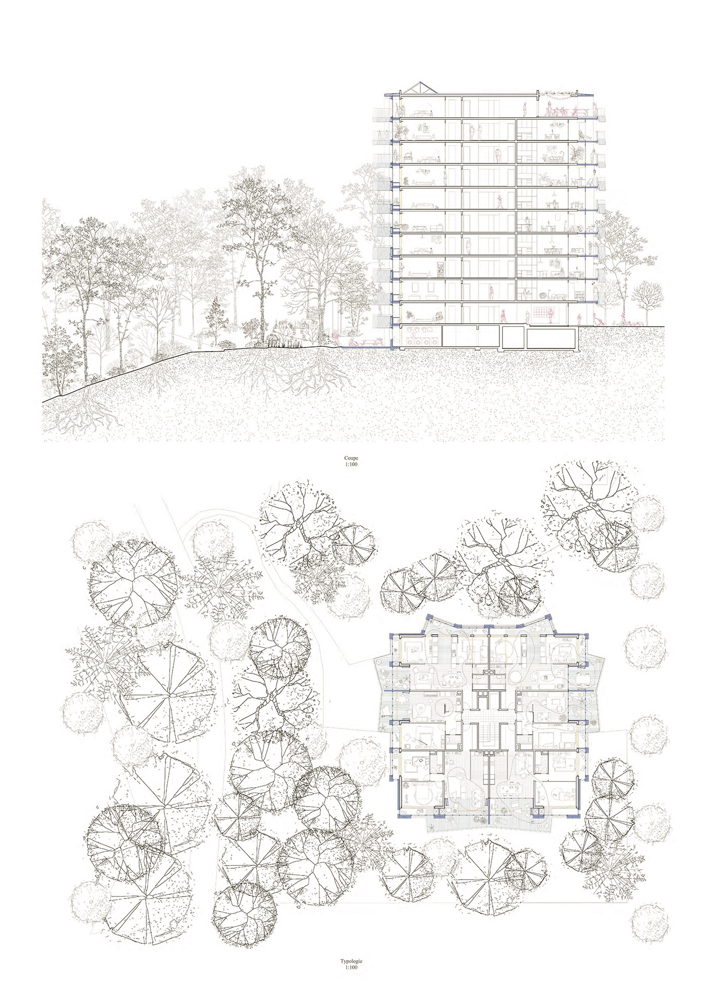 Vers de l’habitat social : « La façade lisse gagne en épaisseur, intégrant de nouveaux espaces intermédiaires et prolongeant les qualités du logement vers l’extérieur. » Rapport Prix durabilité HEIA-FR