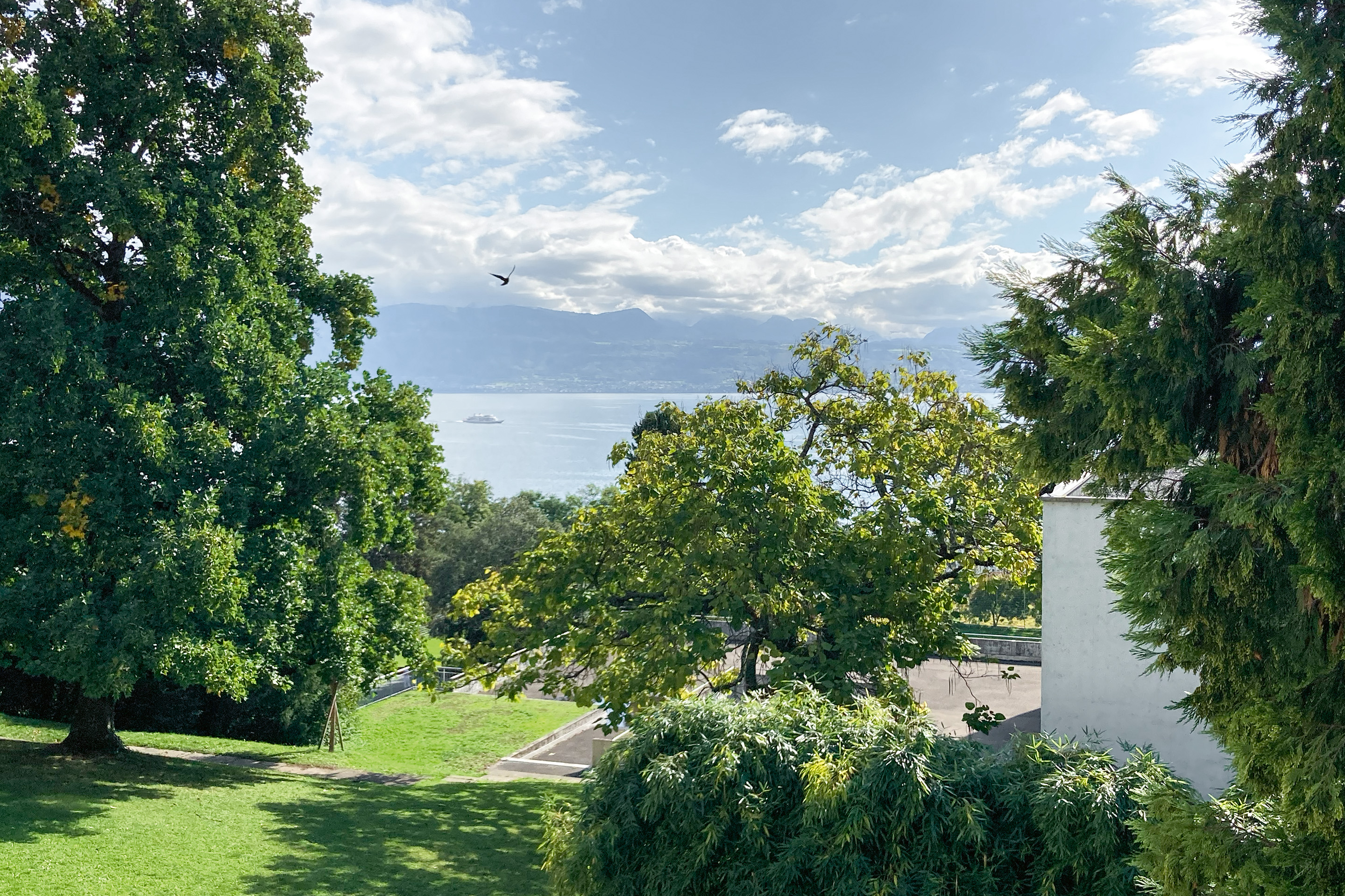 Playground-preaux-sonia-curnier-lausanne-photo-Elysee-1