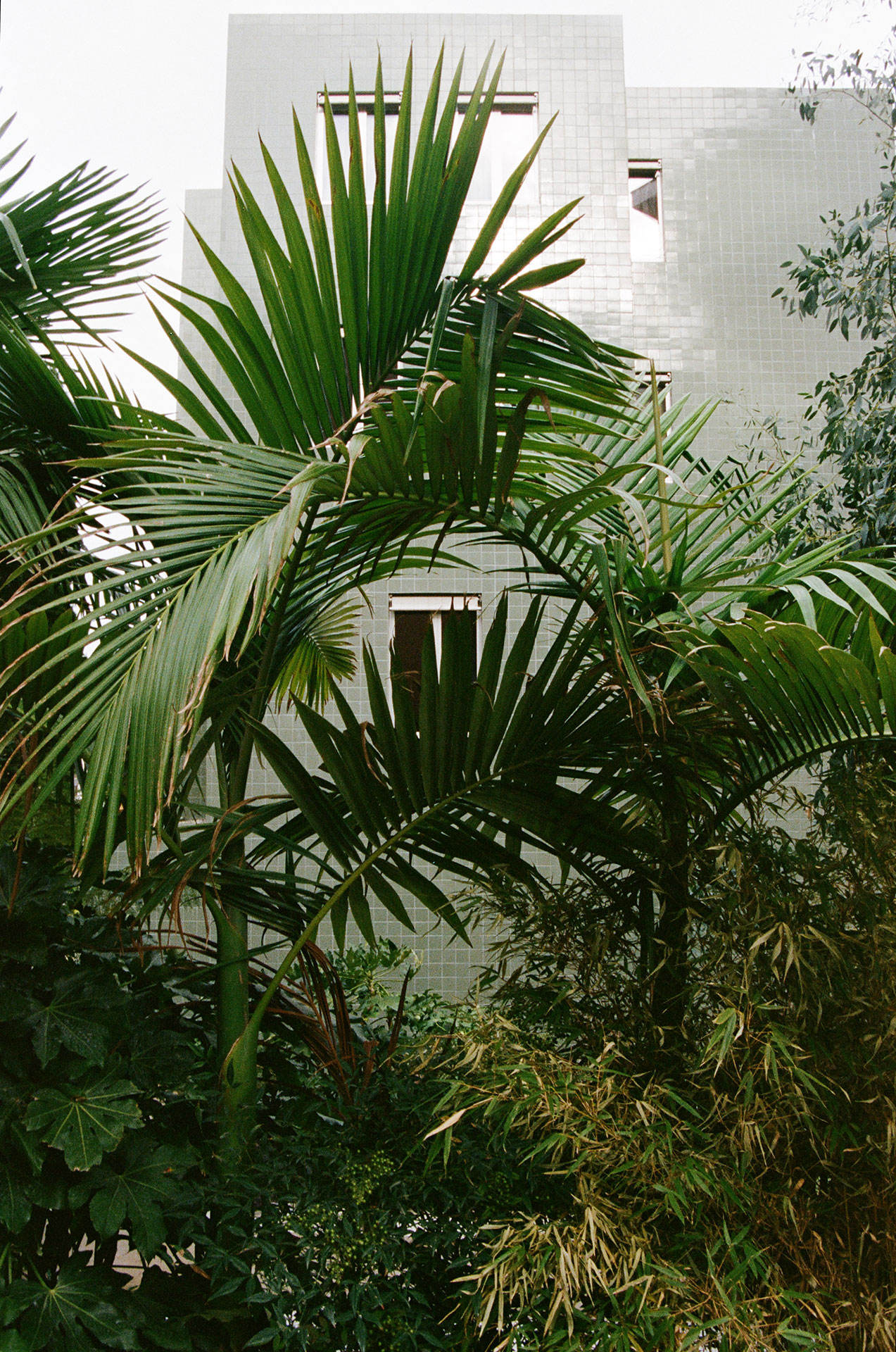Avec ses plantes luxuriantes, la maison vert clair dégage une atmosphère qui rappelle Miami.