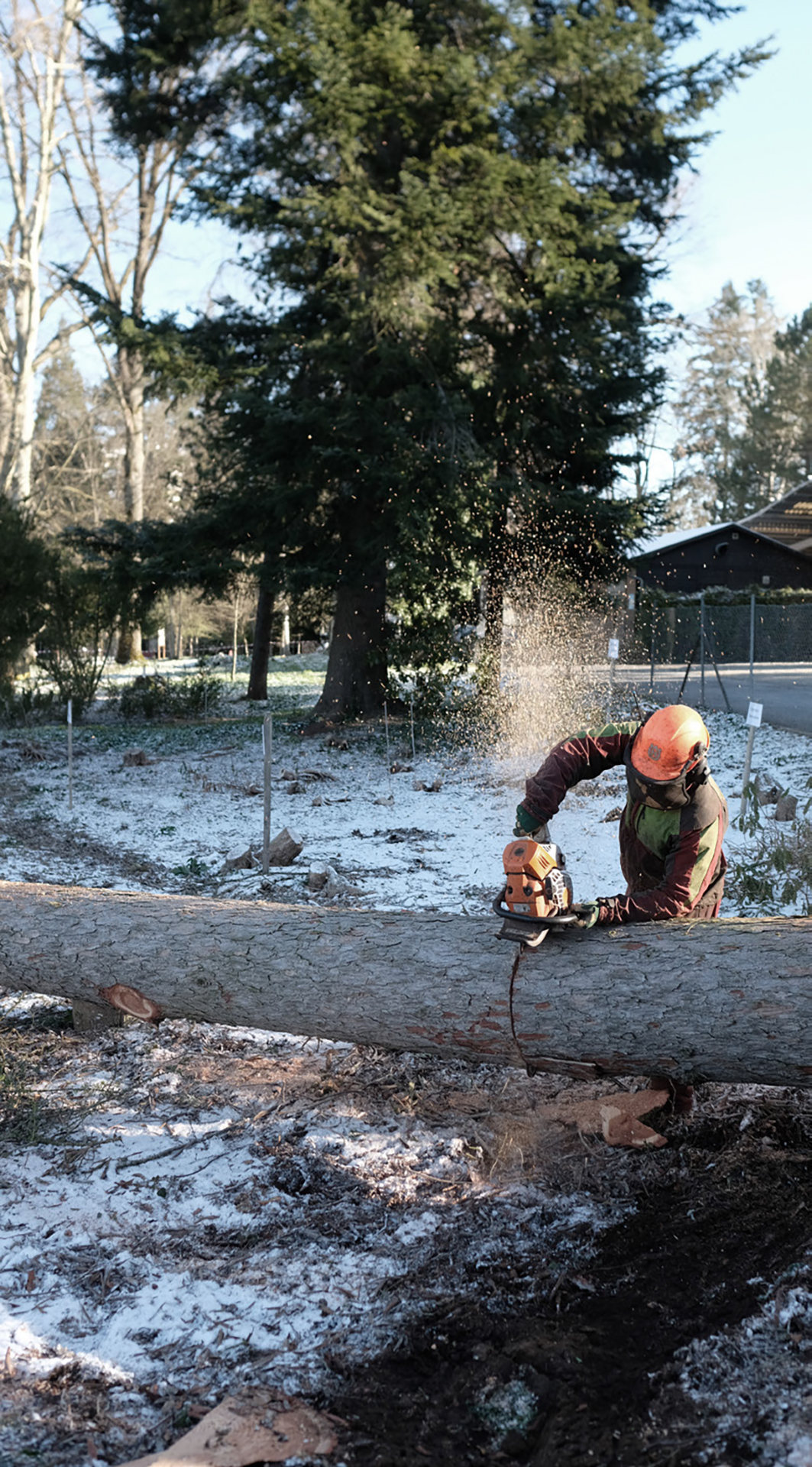 Foundation Award Charly Jolliet Umbrella Pavillon