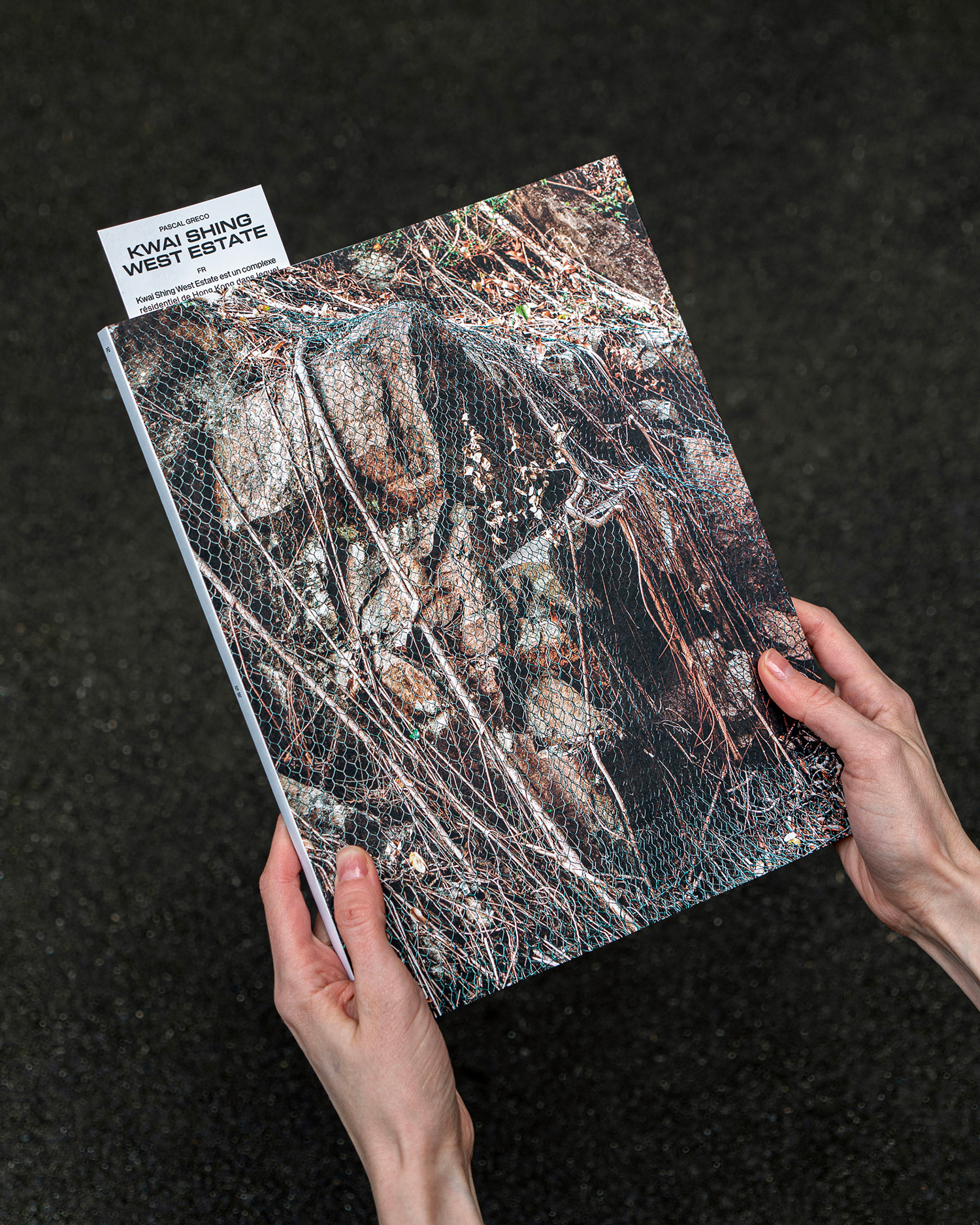 Couverture du livre paru en 2024" Kwai Shing West Estate"