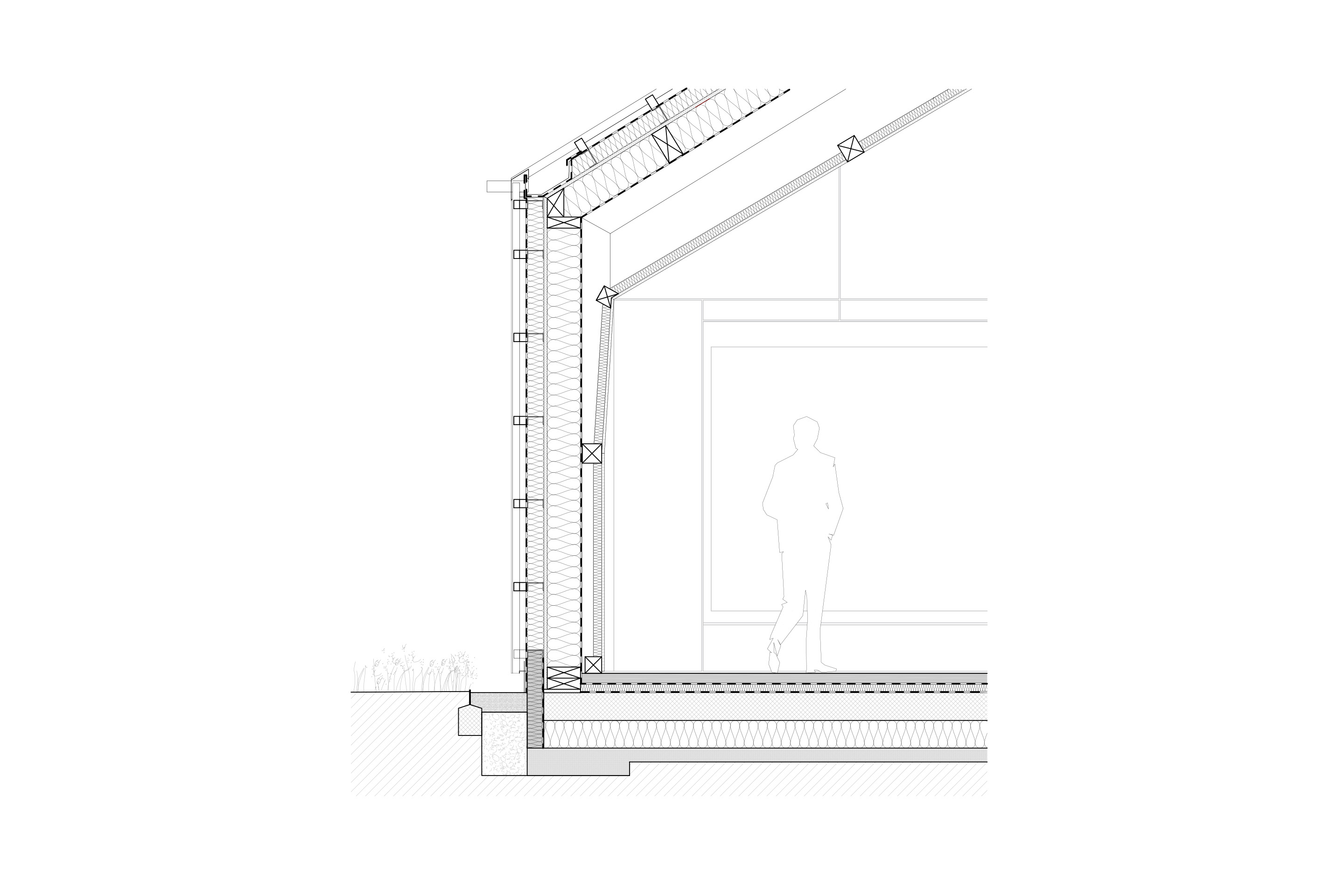 REAL-MdQ-Libellules-Details