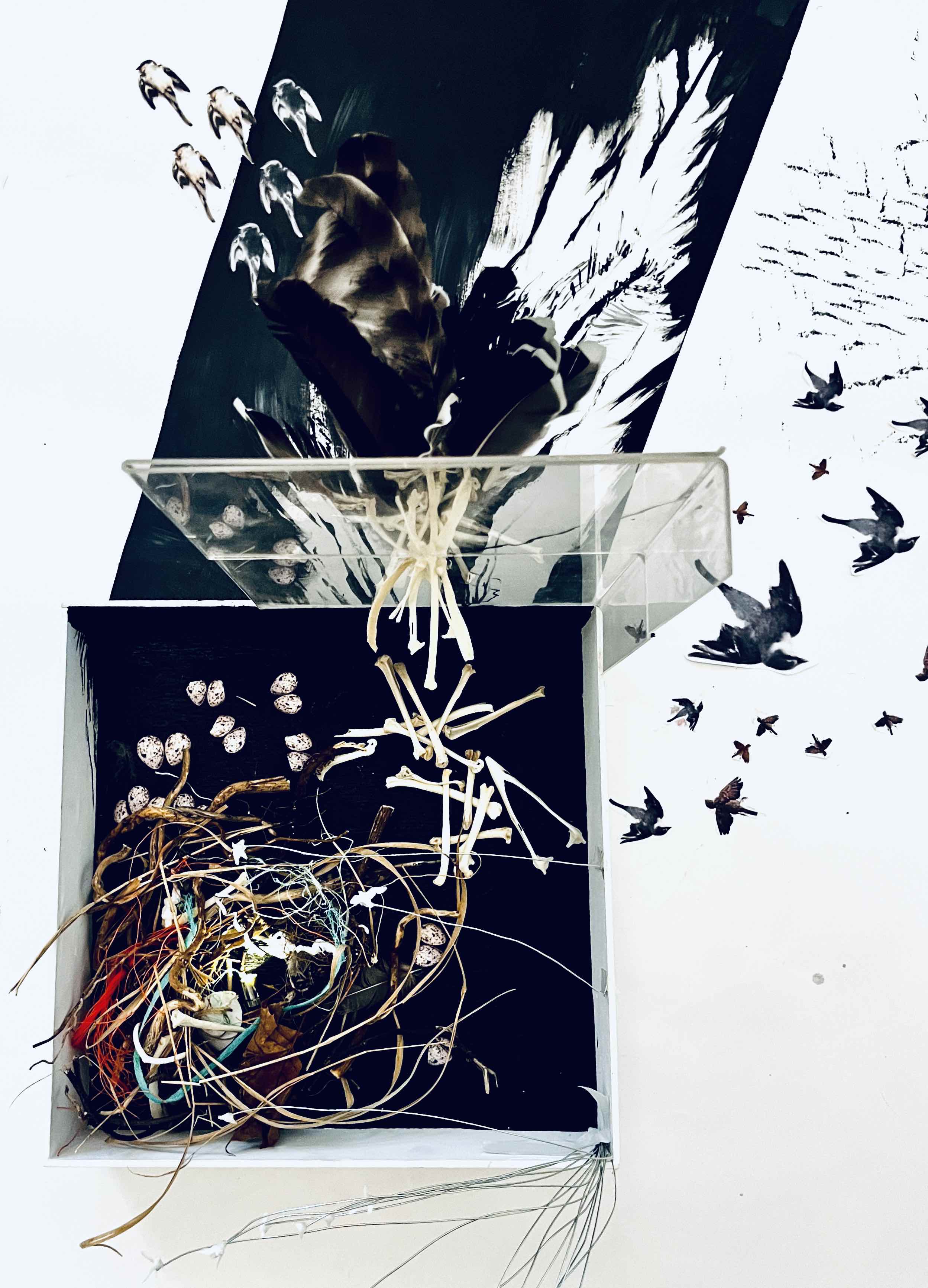 Harriss-Marcaccio-FIG.04