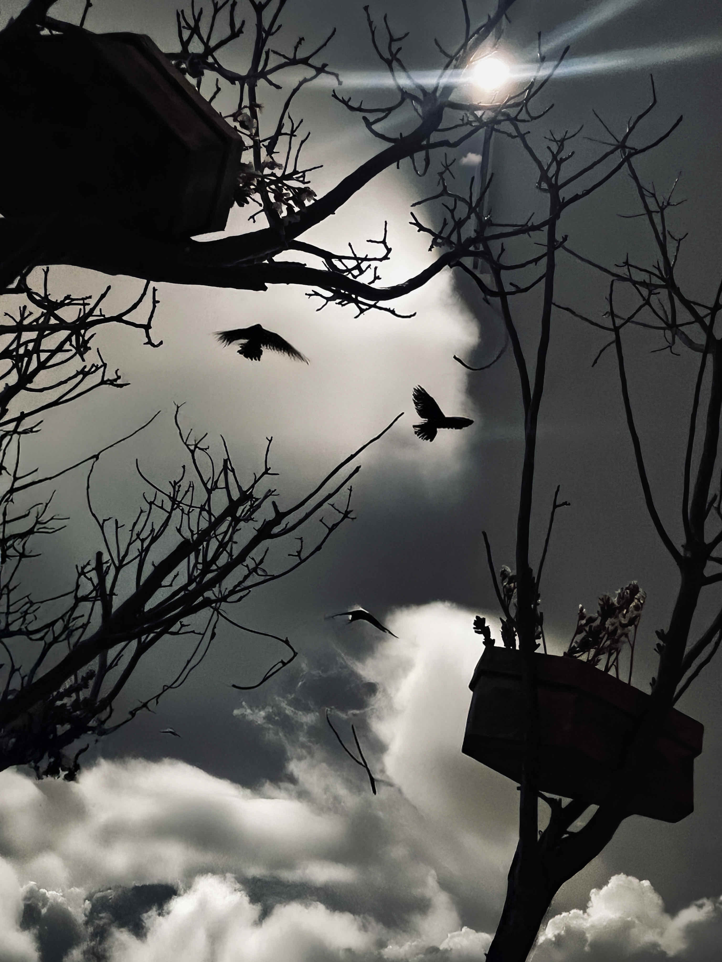 Harriss-Marcaccio-FIG.06