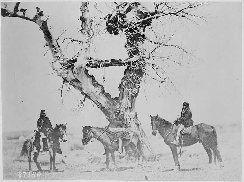 Harriss-Marcaccio-FIG.5