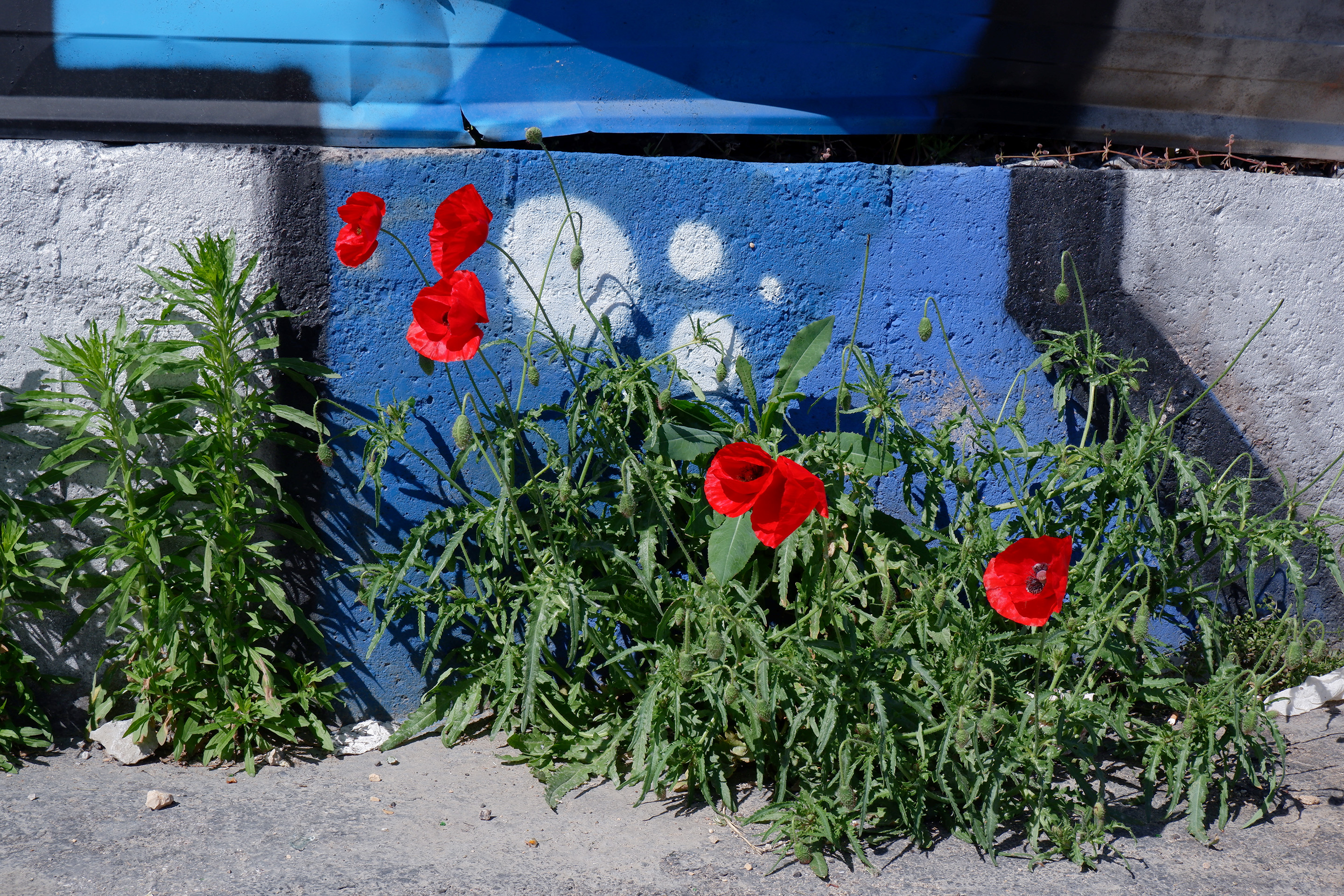 Alt trifft Neu, Ausblicke auf das Stadtentwicklungsgebiet Euroméditerranée 2 an der Métro Capitaine Gèze