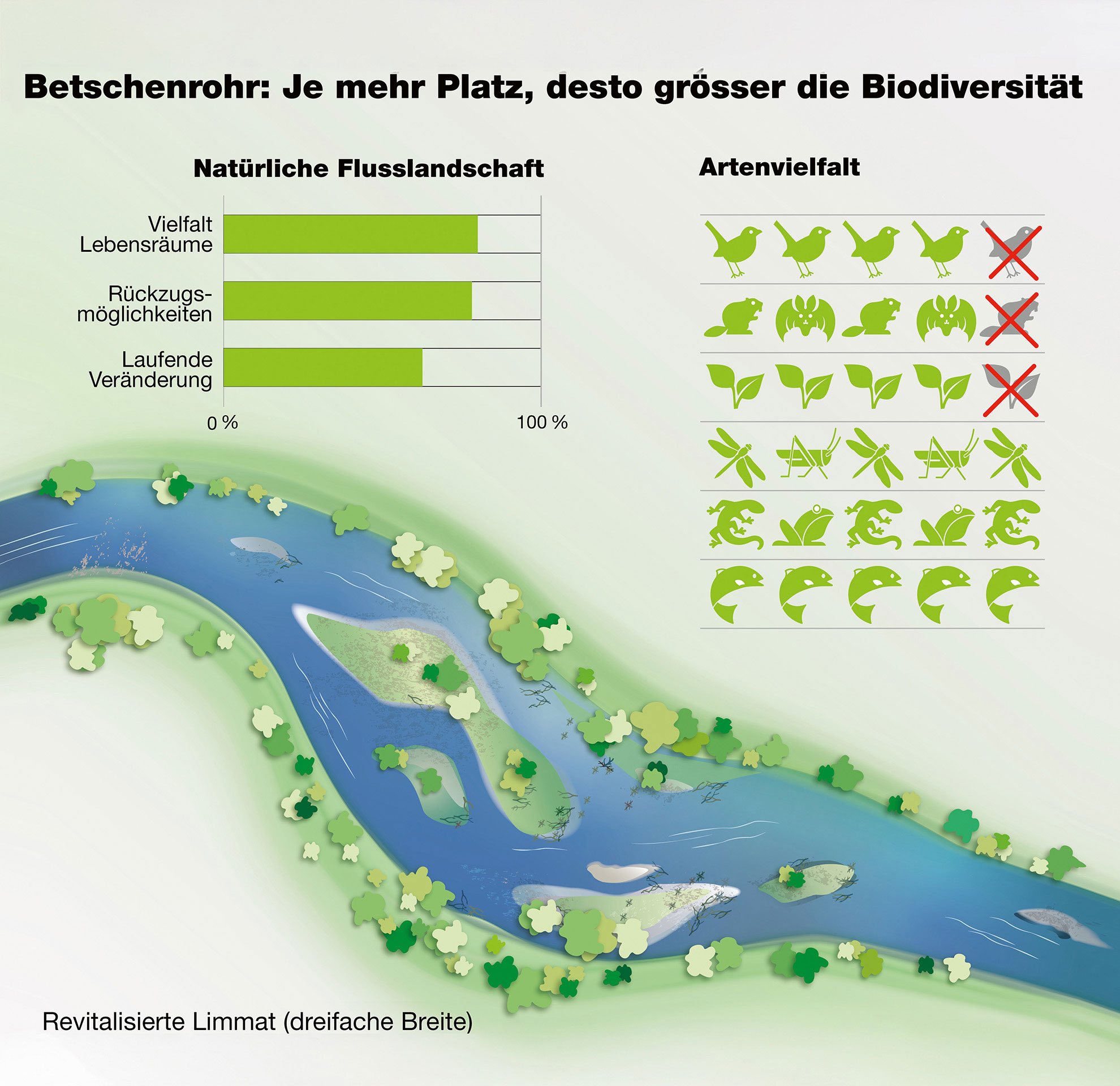 Mittels Infogra­fiken wird der Bevölkerung aufgezeigt, wie die Tierwelt von einem naturnahen Fluss profitiert.