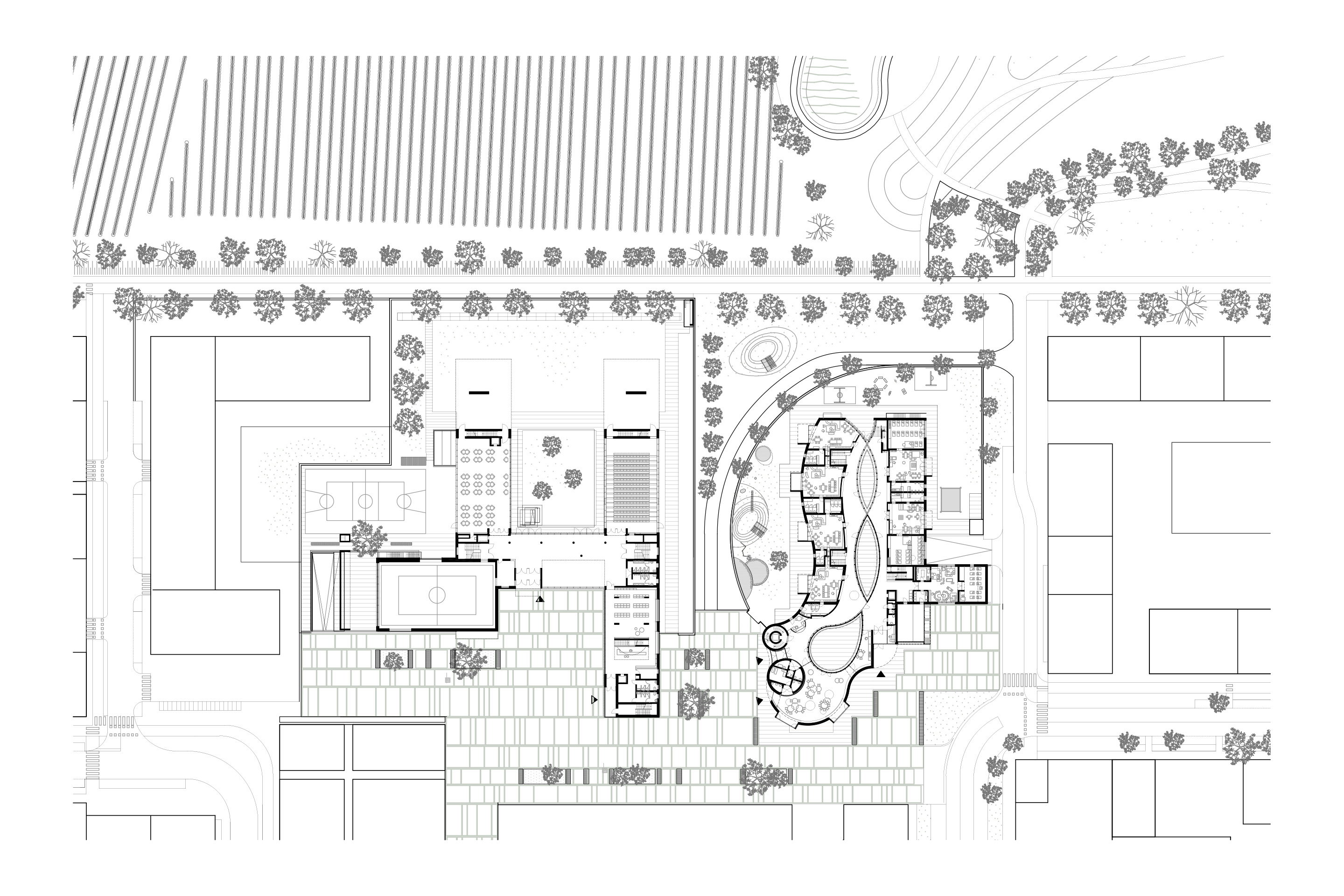 MoDusArchitects-pedagogy-typology-context-elementary-bolzano