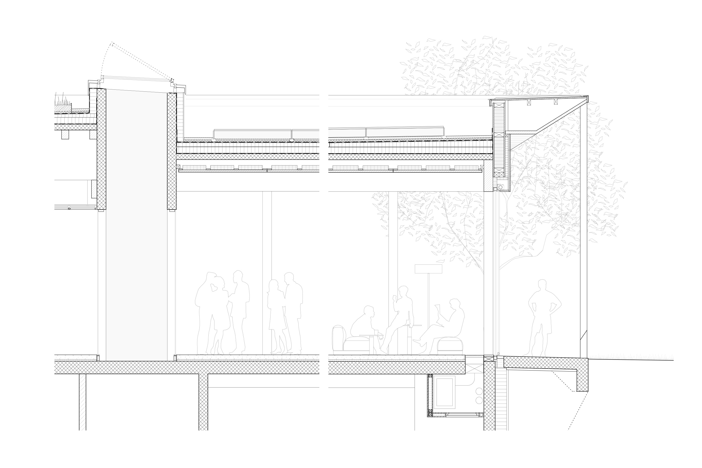 REAL-AGROSCOPE-butikofer-de-oliveira-8-coupe-constructive