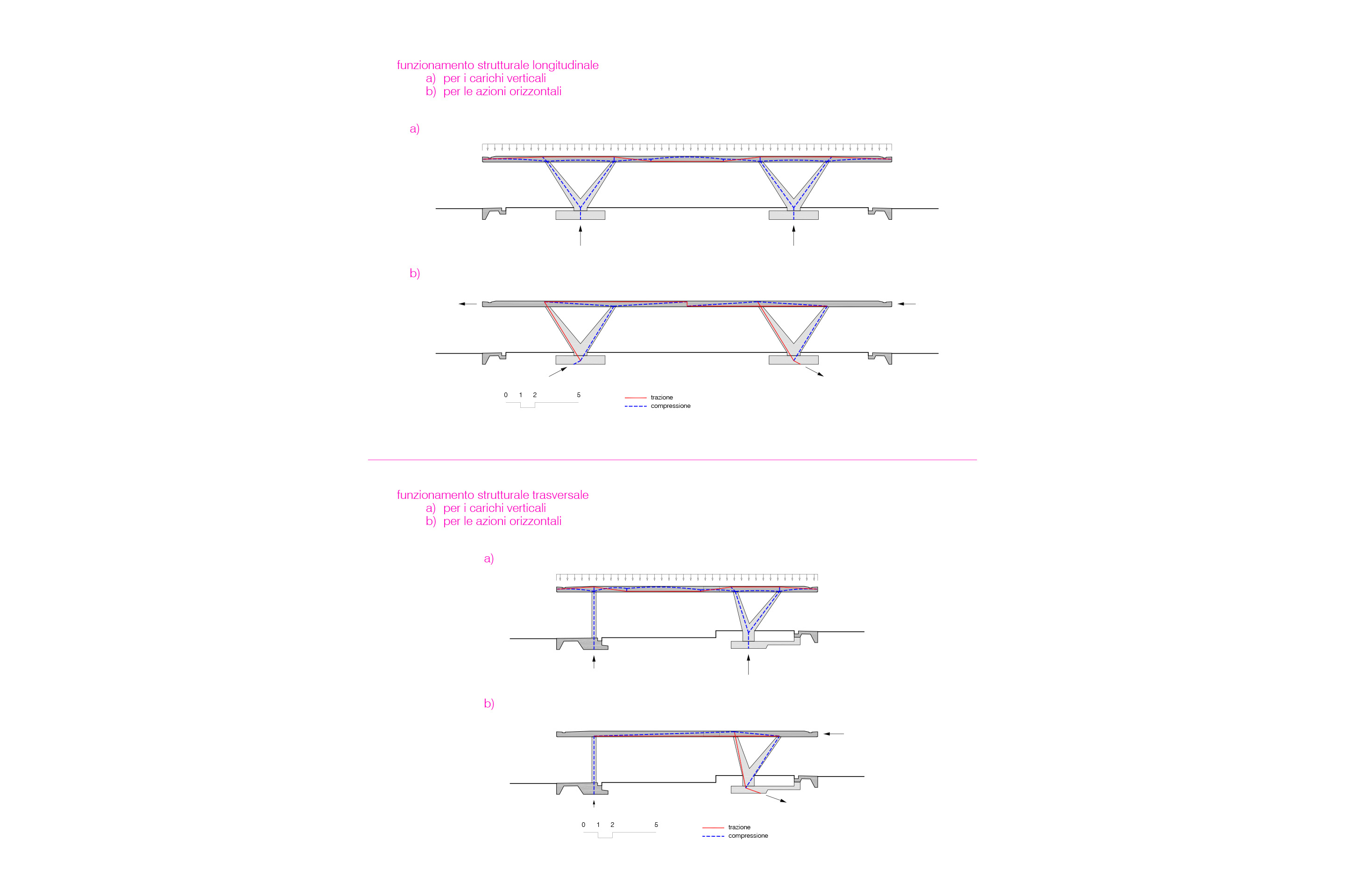 delicate-symmetries-baserga-mozzetti-strctural-scheme