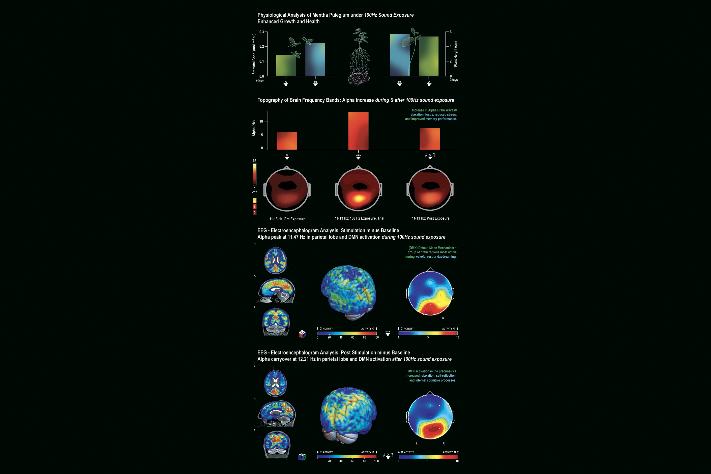 Sound-Greenfall-neuscience-scheme