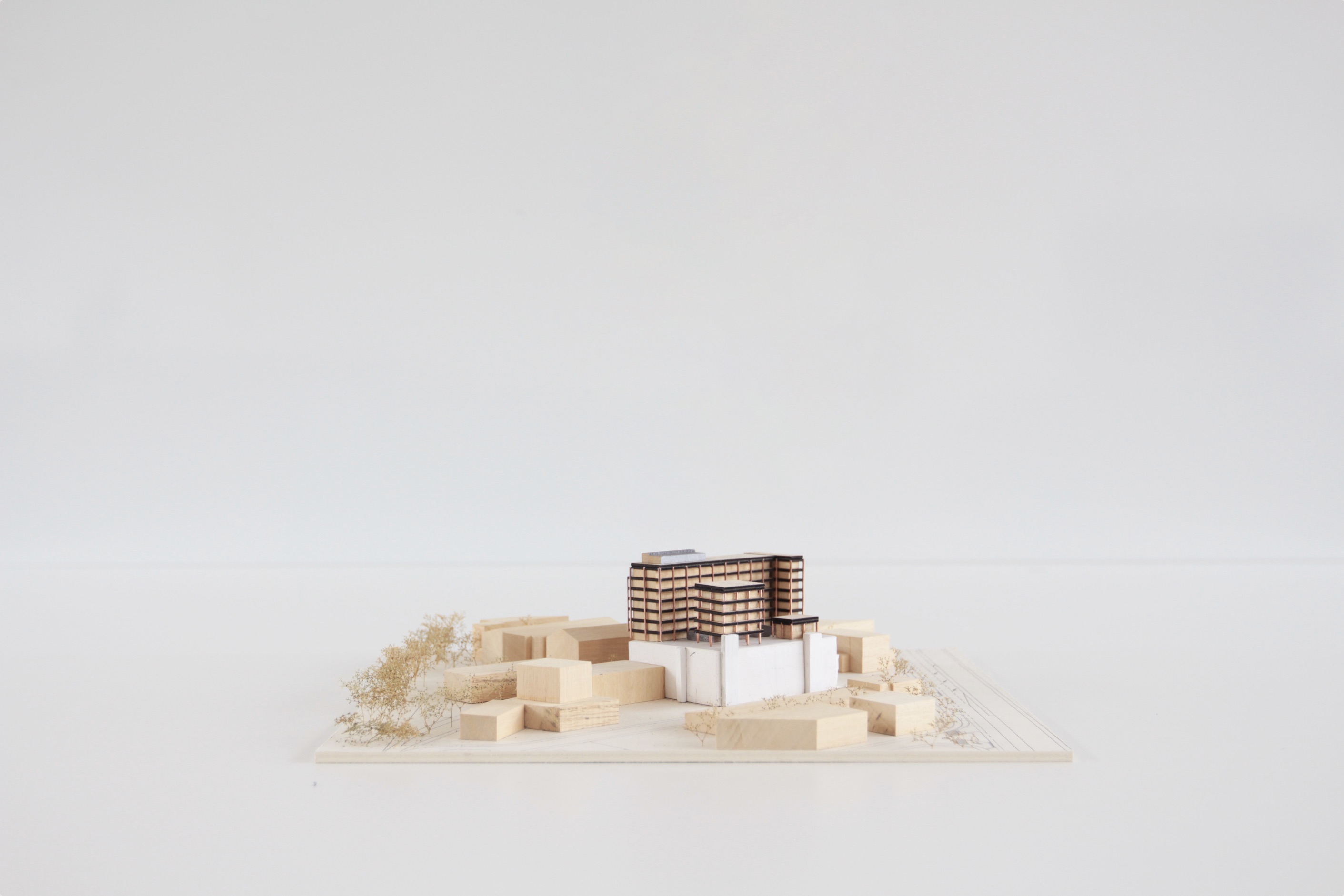 EPFL-Atelier-Widmer-Gardelegui-19-FR