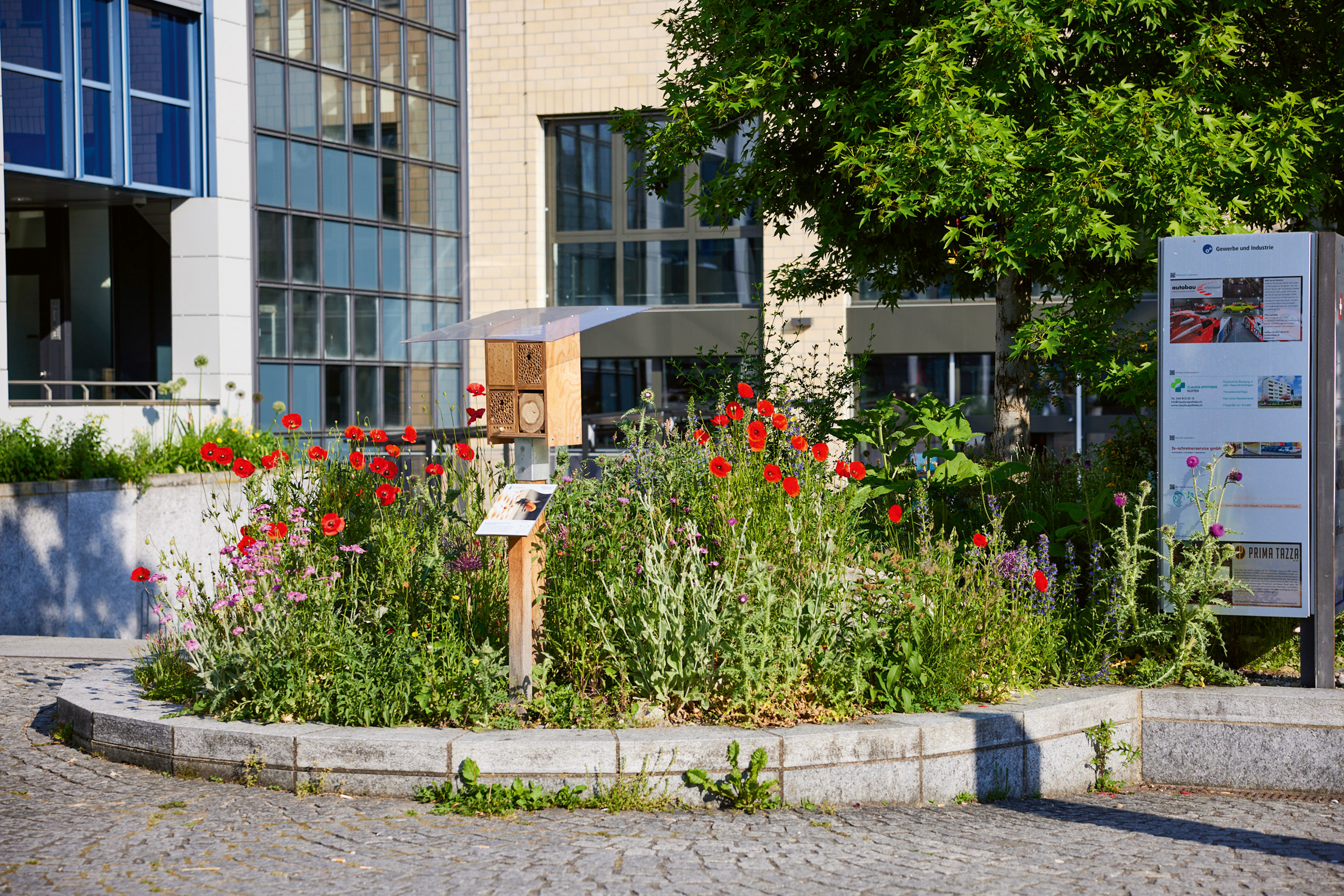 Anche le superfici ridotte offrono un potenziale per la biodiversità.