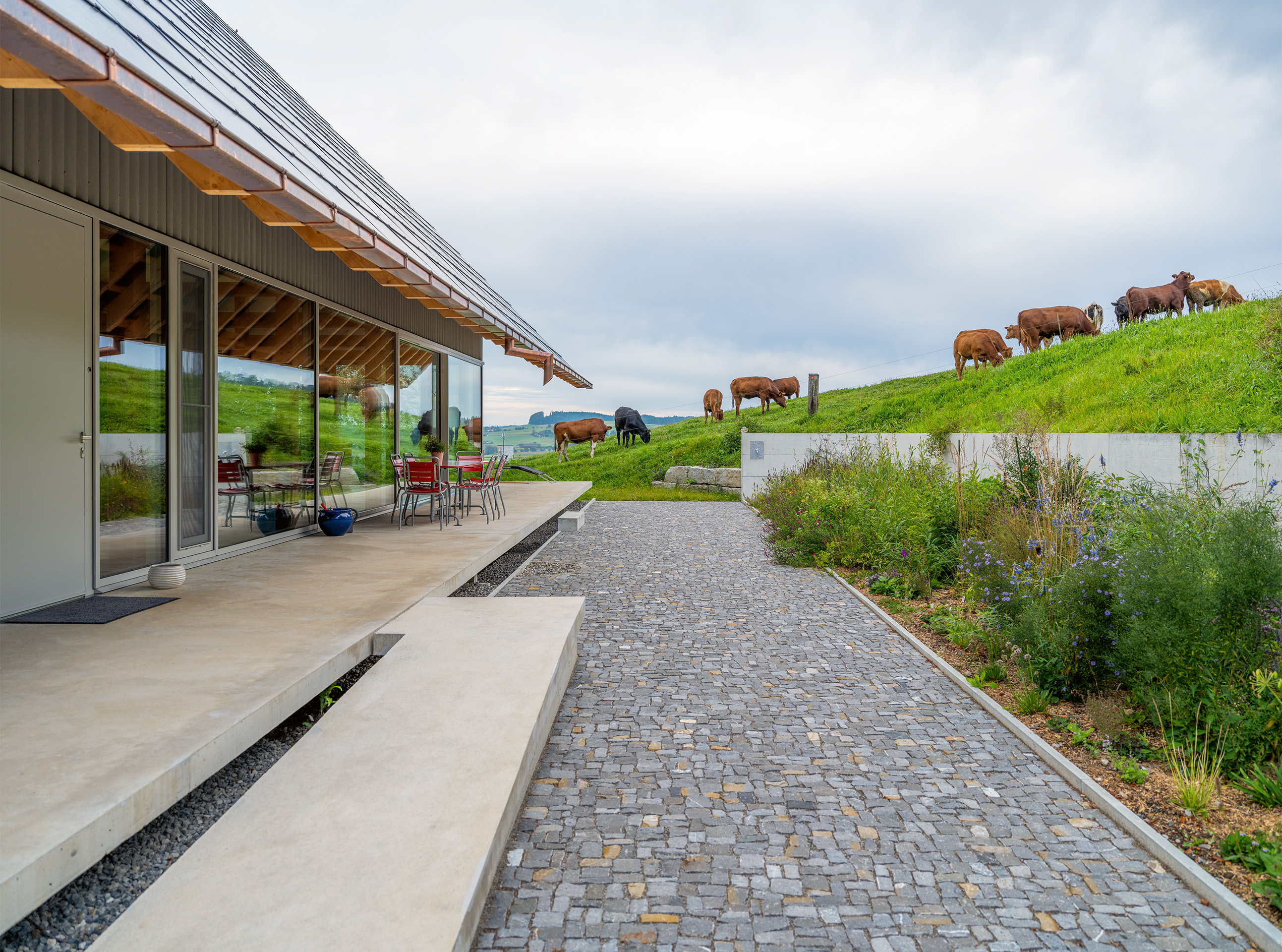 studio-house-bula-spazio-esterno