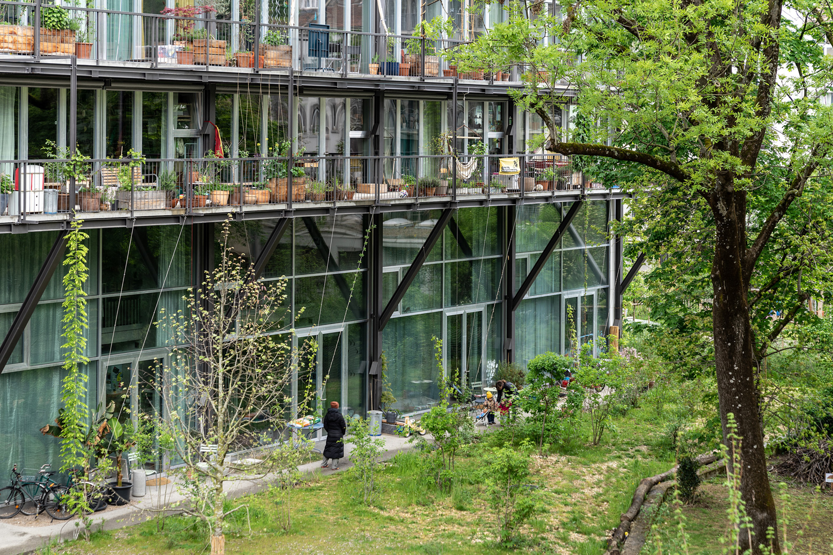 Im Sockel der Lyse-Lotte sind die Atelierwohnungen, das Grün wird sich die kommenden Jahre an der verglasten Südfassade hochranken.