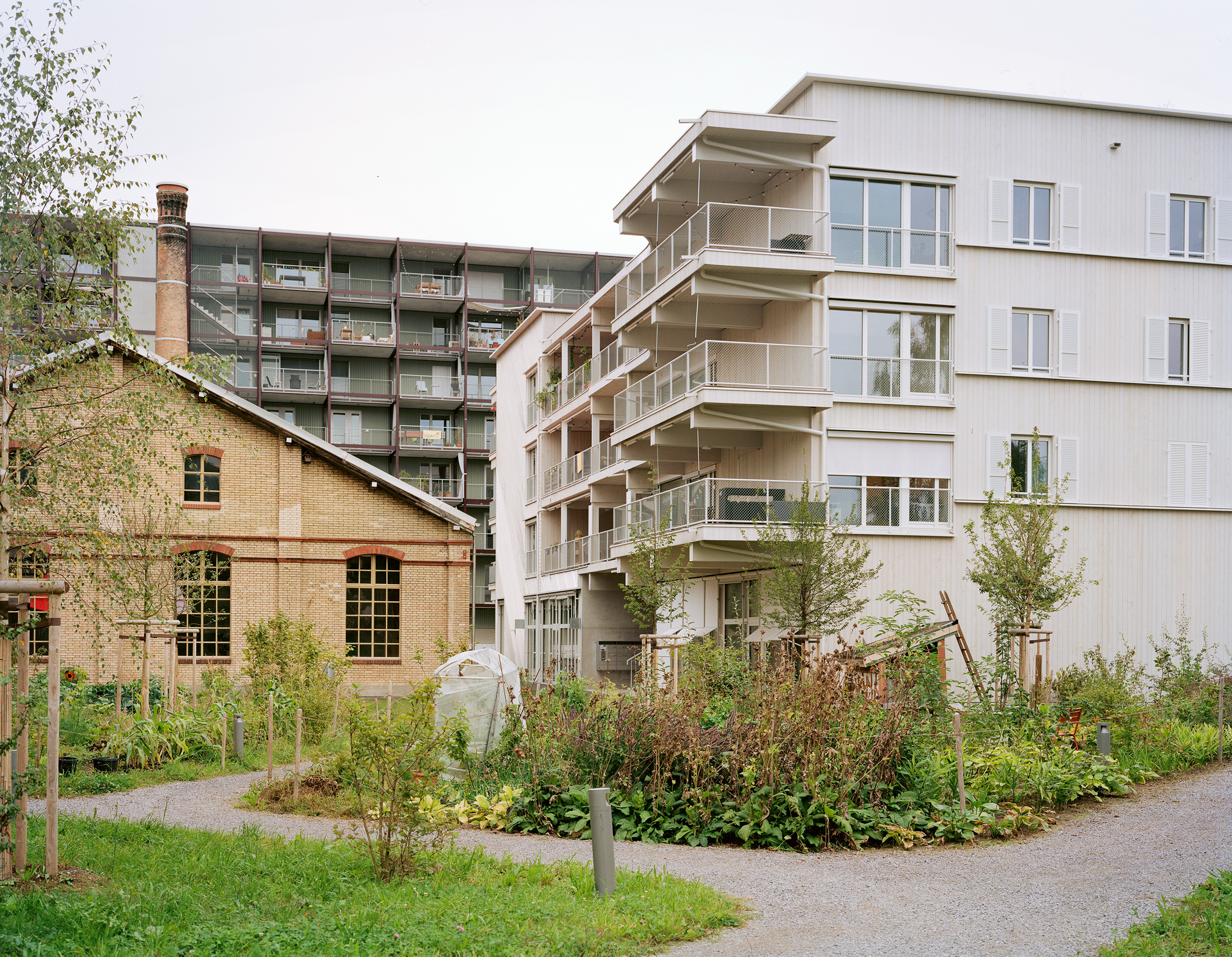 Immobilien-Energie-2025-042-Hobelwerk Winterthur Flammer Architekten.jpg