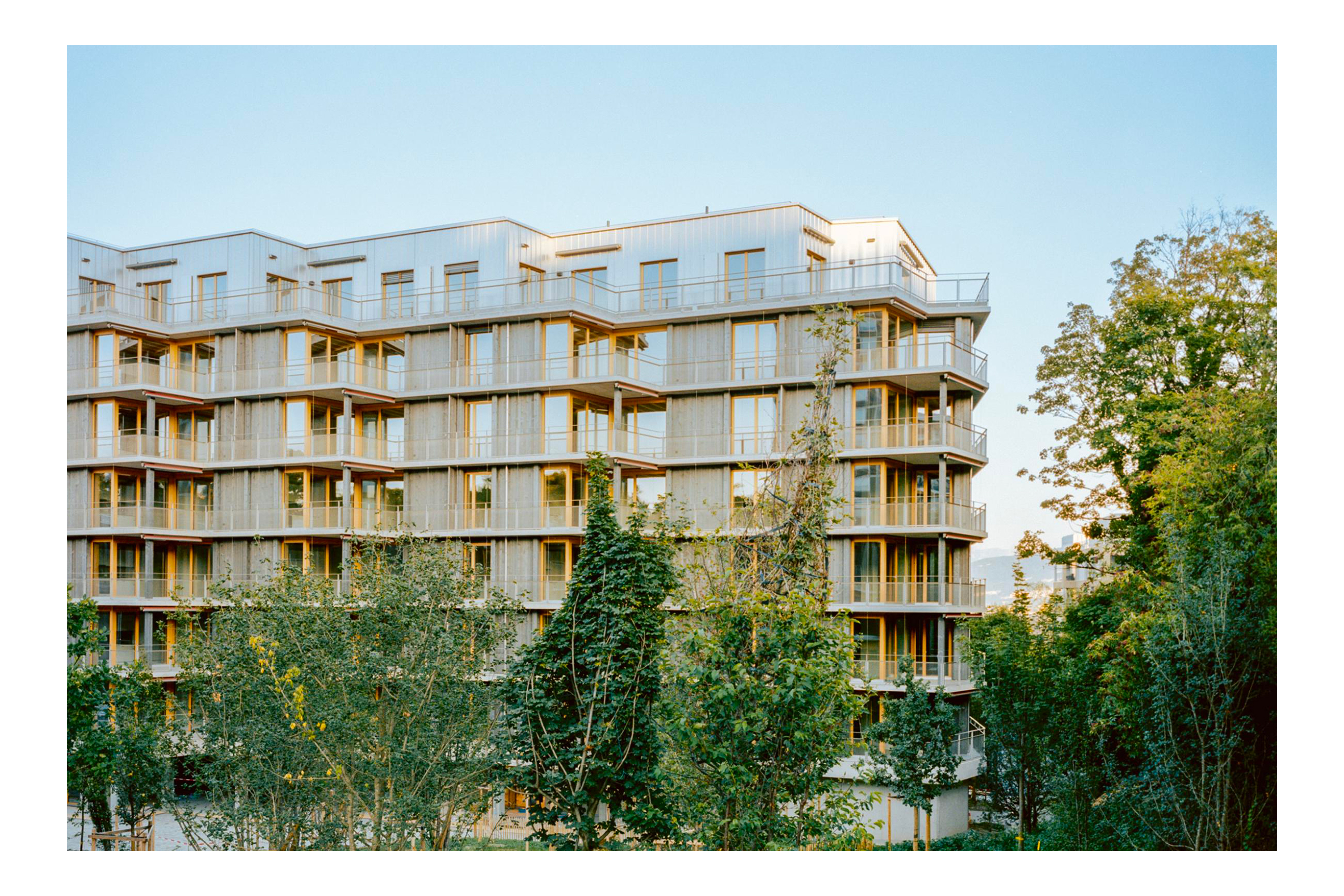 HOME-Crocodile-LRS-Genève-12-Federico-Farinatt