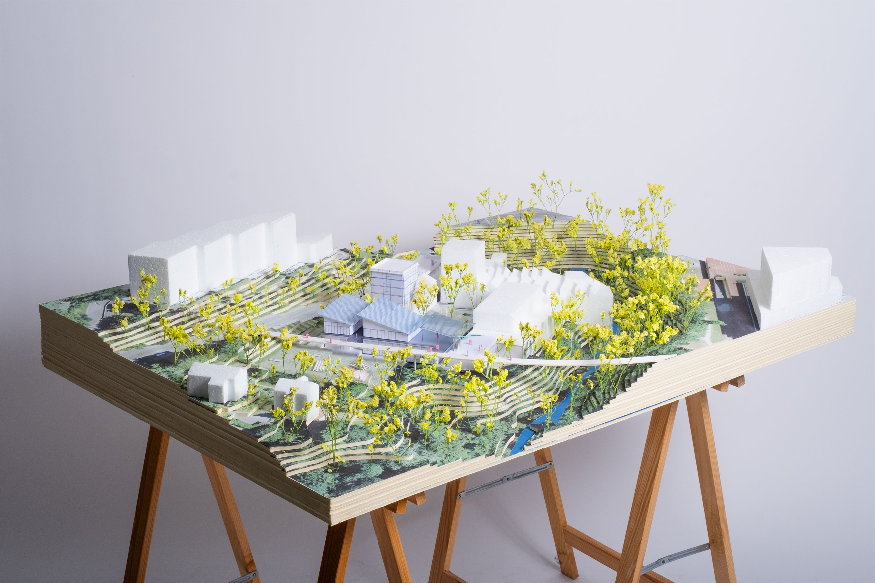 nyon maison innovations sociales solidarités comte meuwly