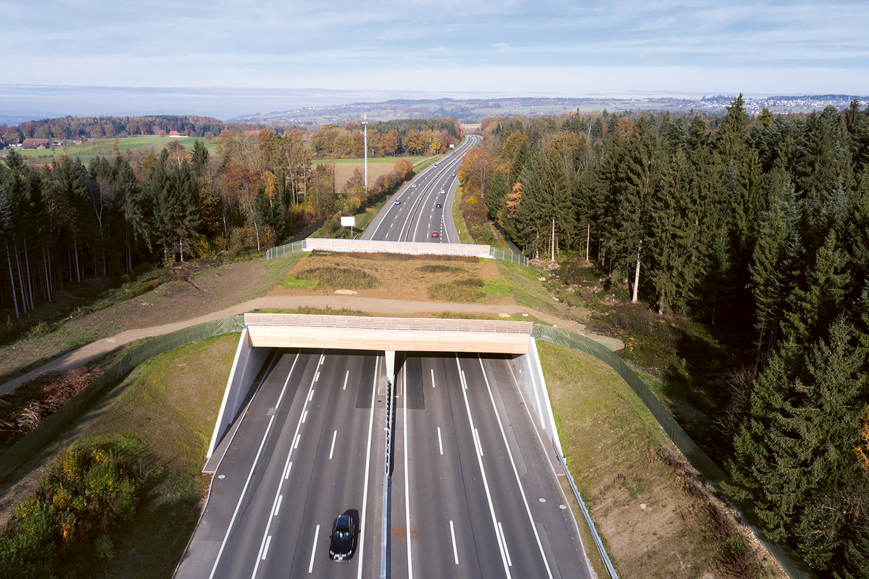 where-are-we-where-are-we-going-neuenkirch