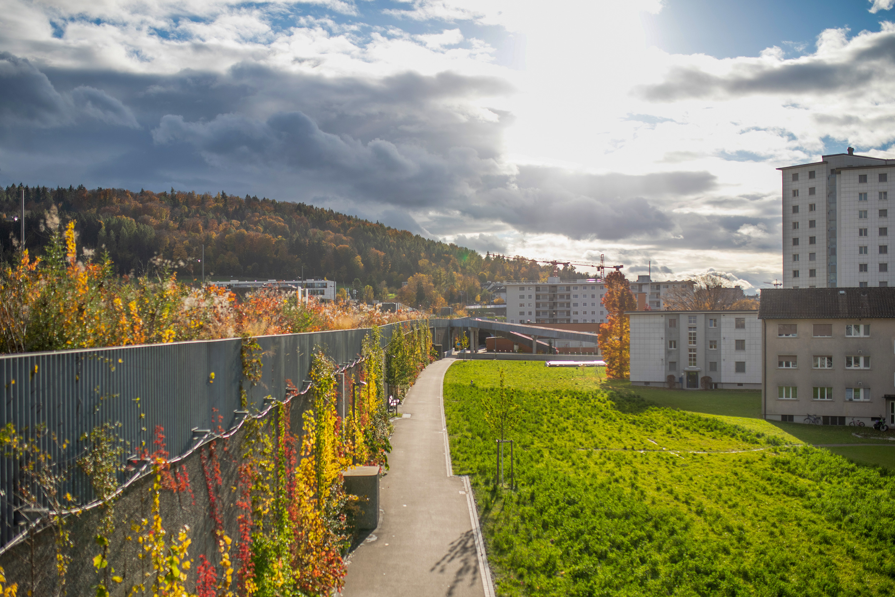 Im Studienauftrag 2004 präsentierten die Architektinnen und Architekten von agps die Idee eines Damms, der die Quartiere über sanft ansteigende grüne Flanken an die Hochebene anbinden sollte. Bereits in frühen Abklärungsphasen zeigte sich jedoch, dass eine ein Damm über die gesamte Länge der Einhausung technisch nicht umsetzbar war.